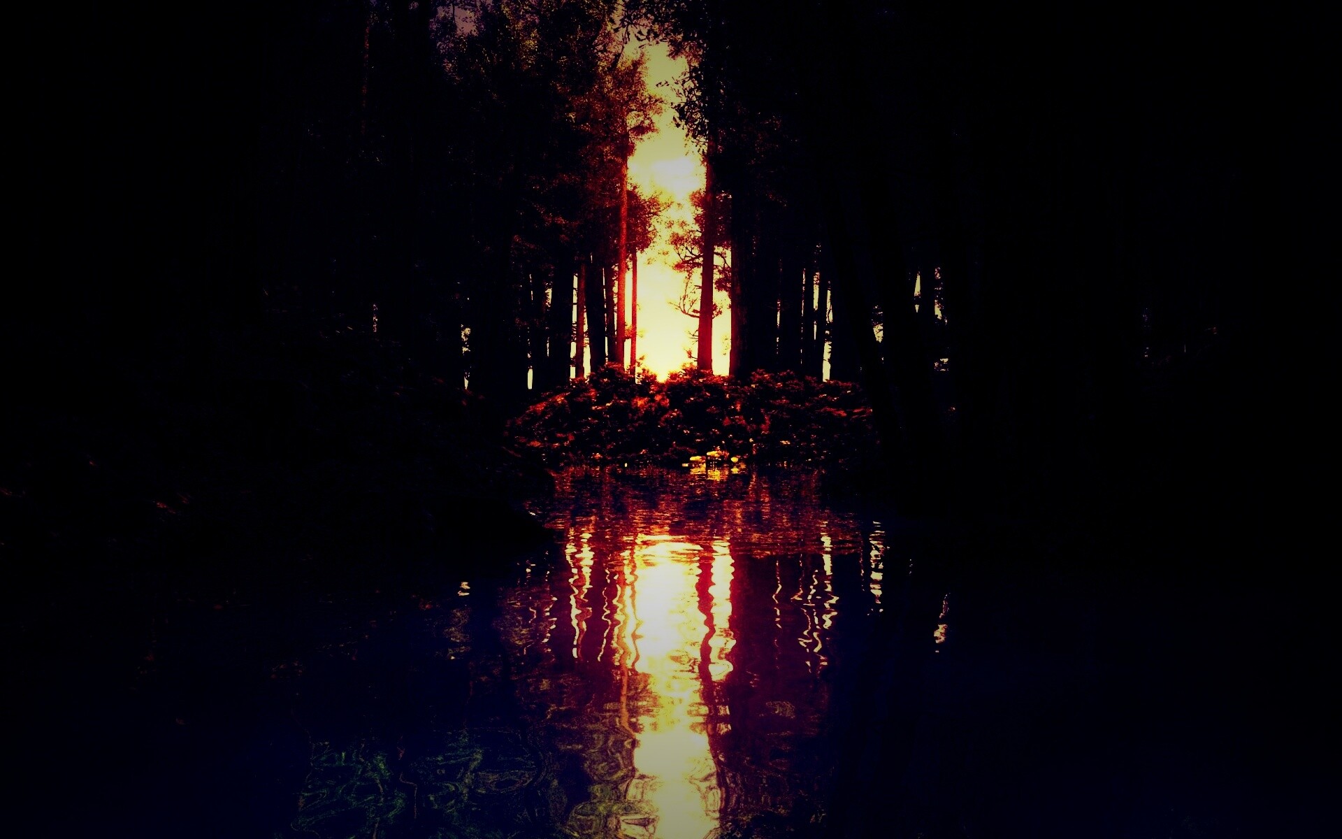 Болото в лесу обои