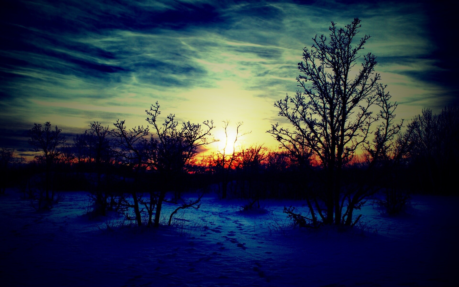 Закат в зимнем лесу обои