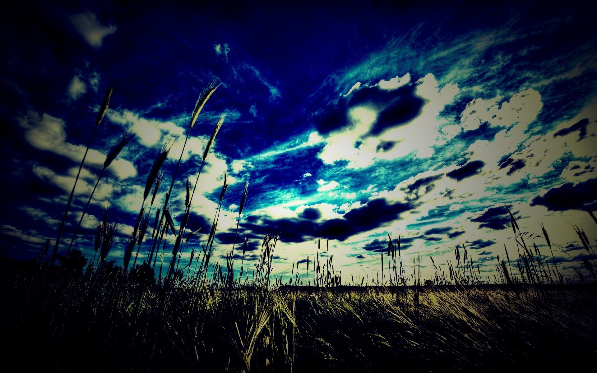 HDR Поле обои