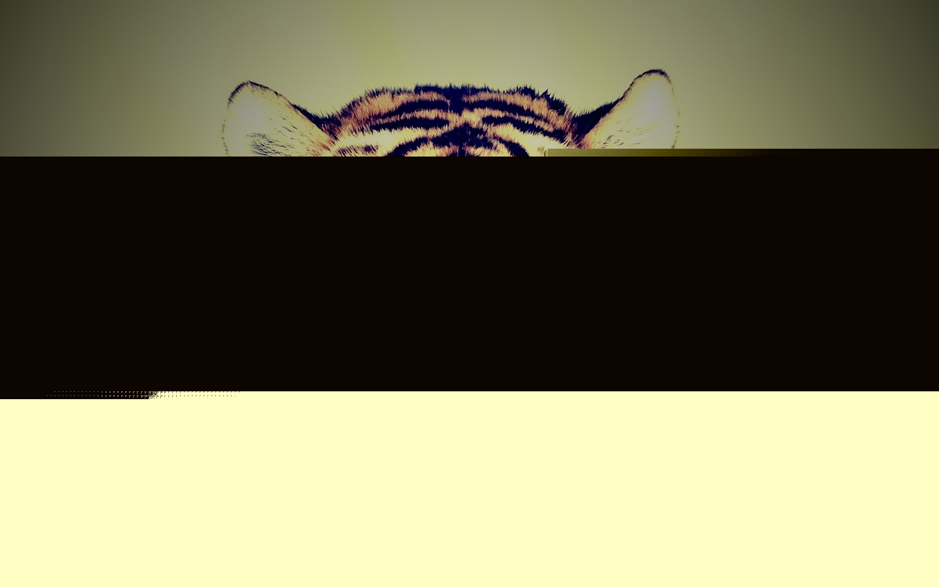 Красавец тигр обои