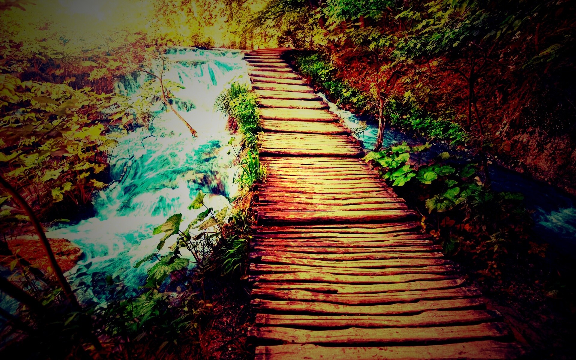 Деревянная дорожка над ручьем обои