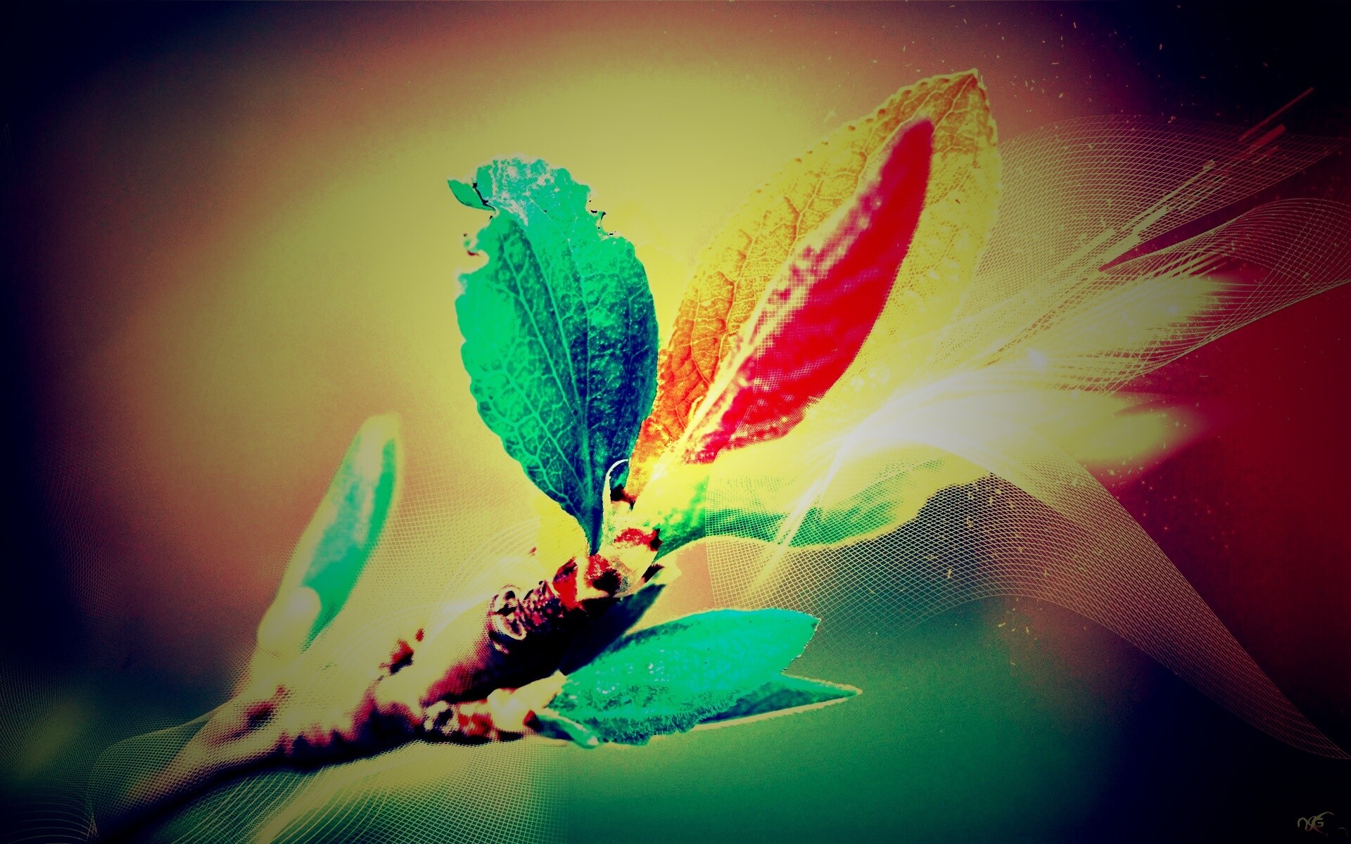 Разноцветные листья обои