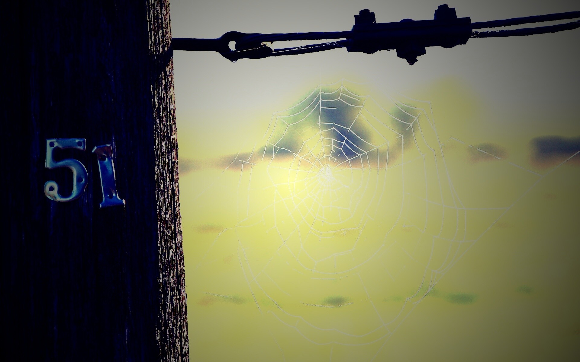 Паутина 51 обои