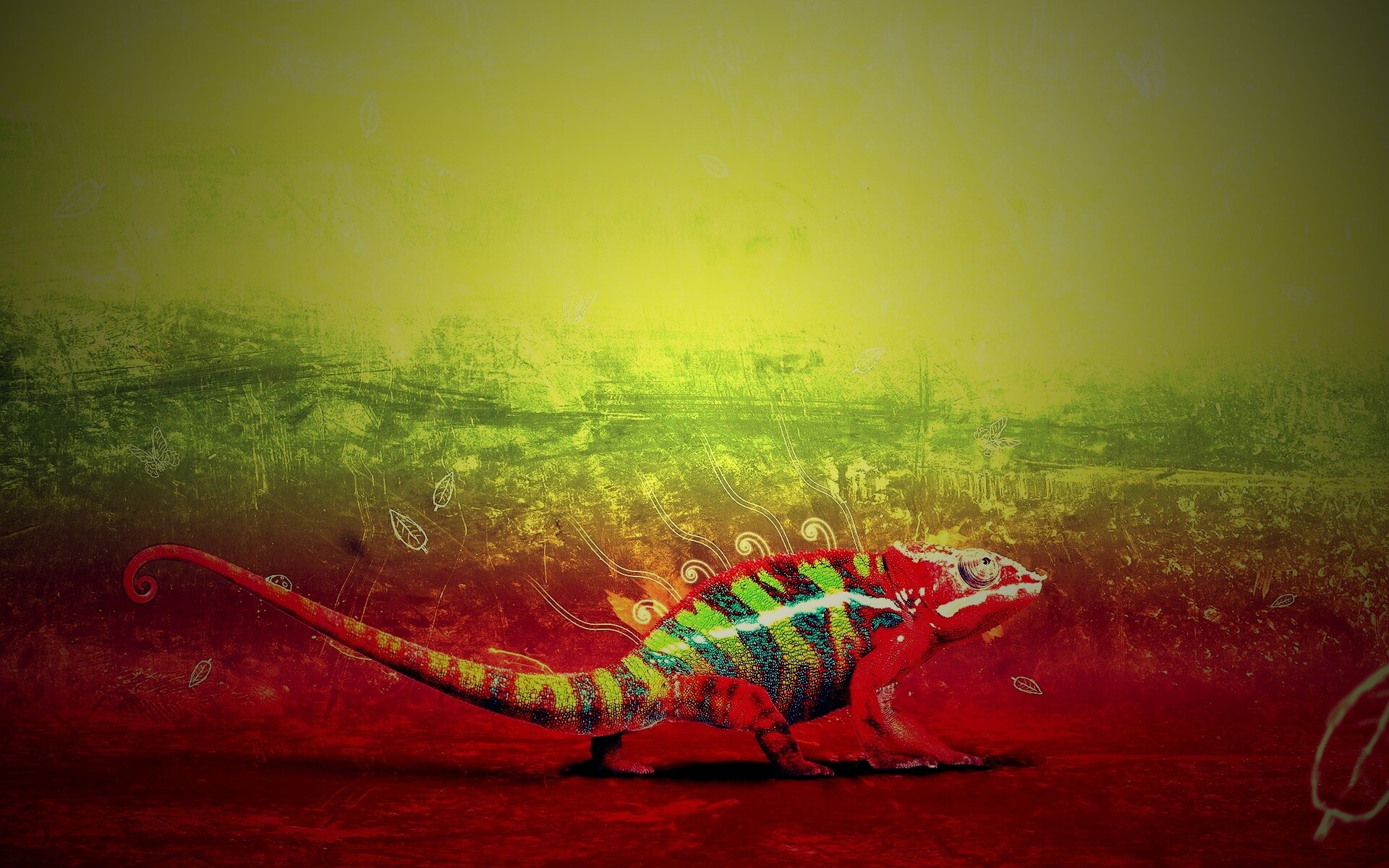 Хамелеон обои