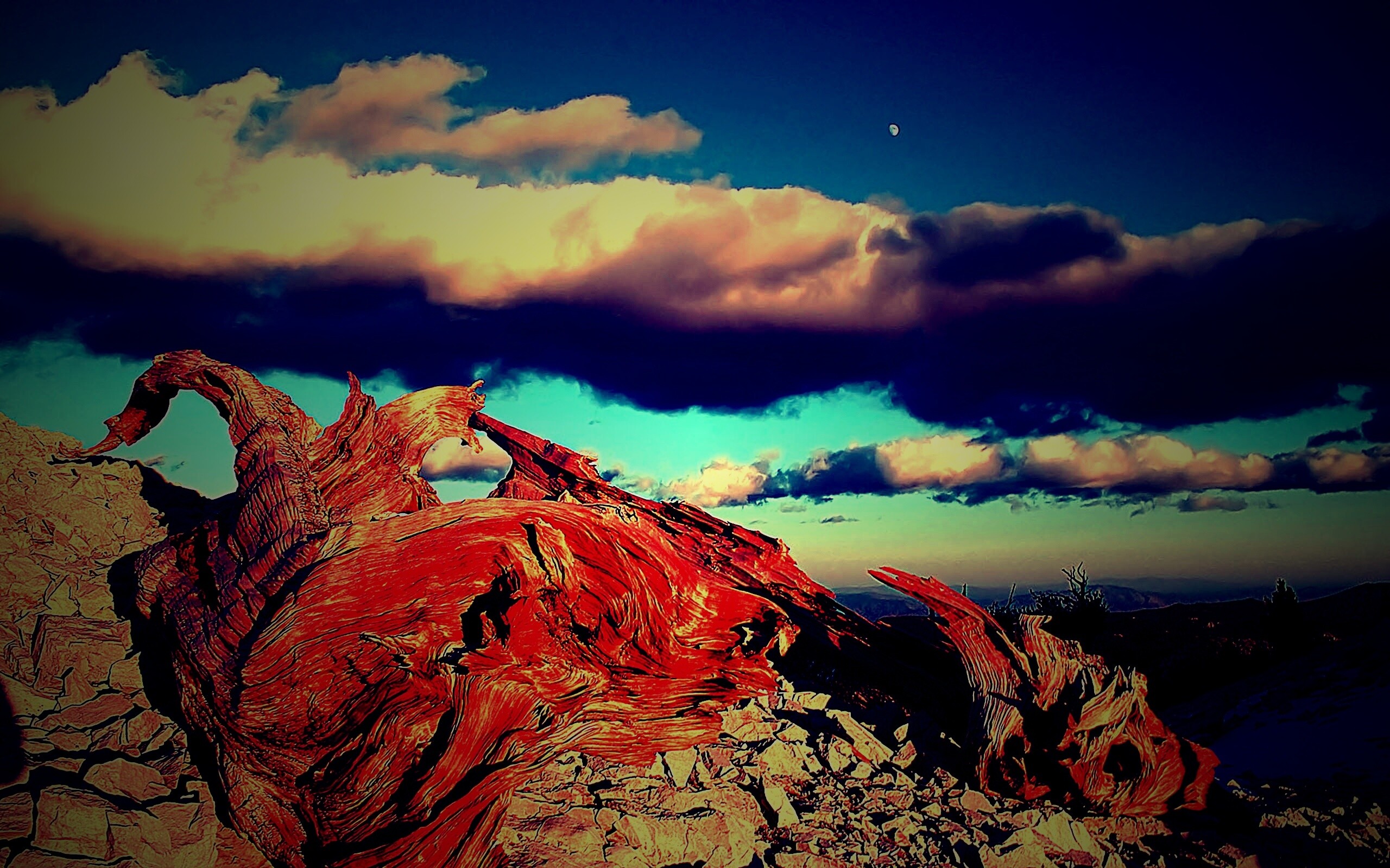 Прелести природы обои