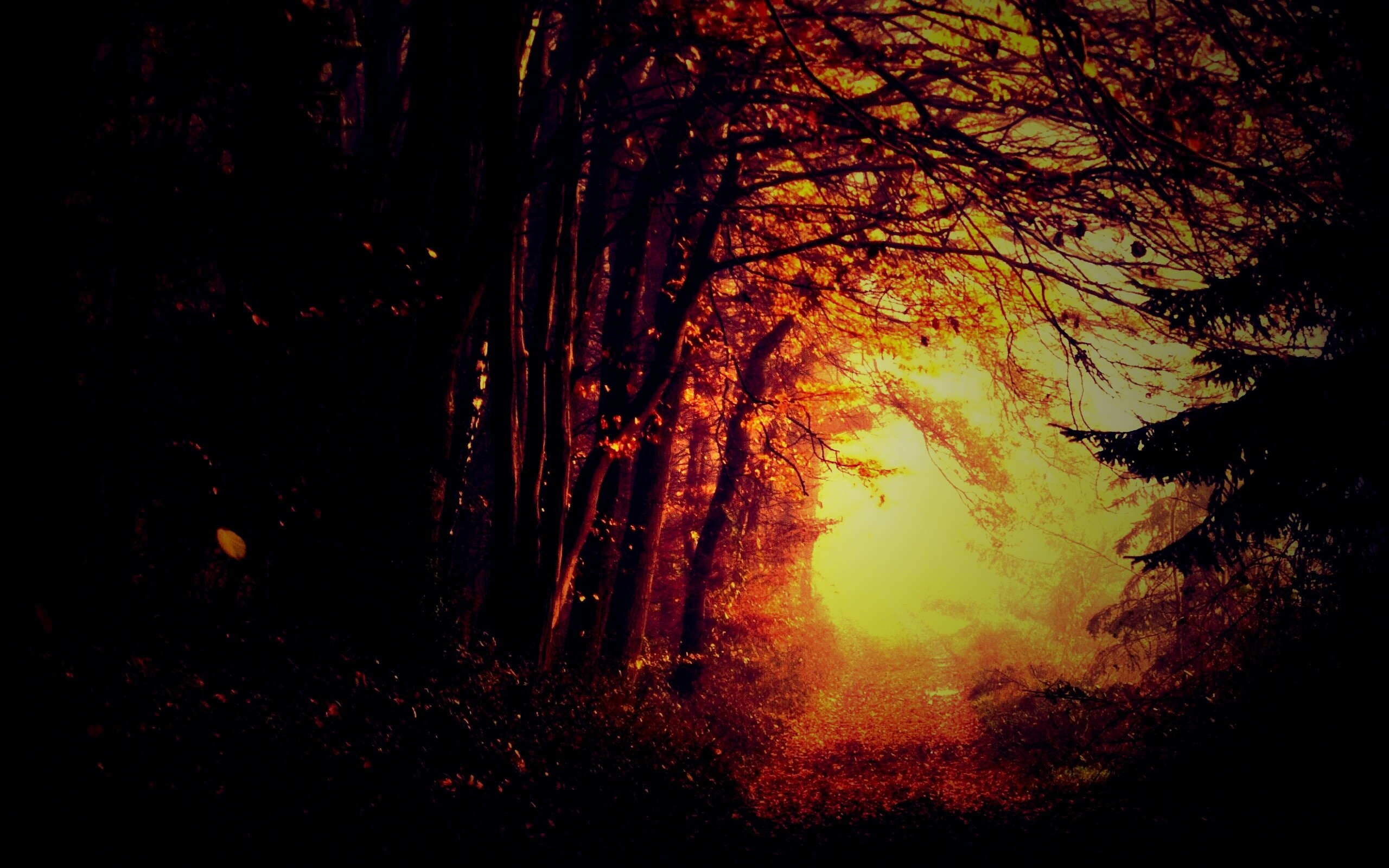 Дорожка заваленная листьями обои