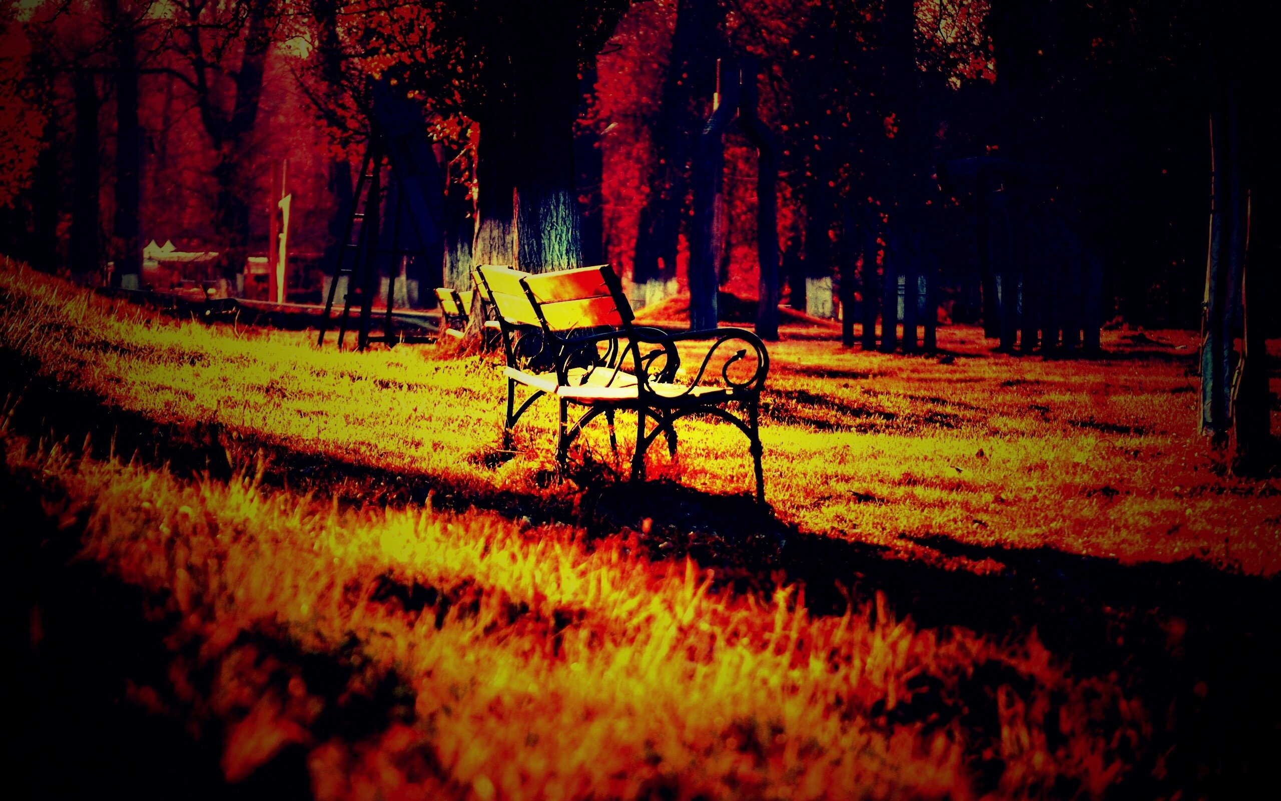 Скаймейка в осеннем парке обои