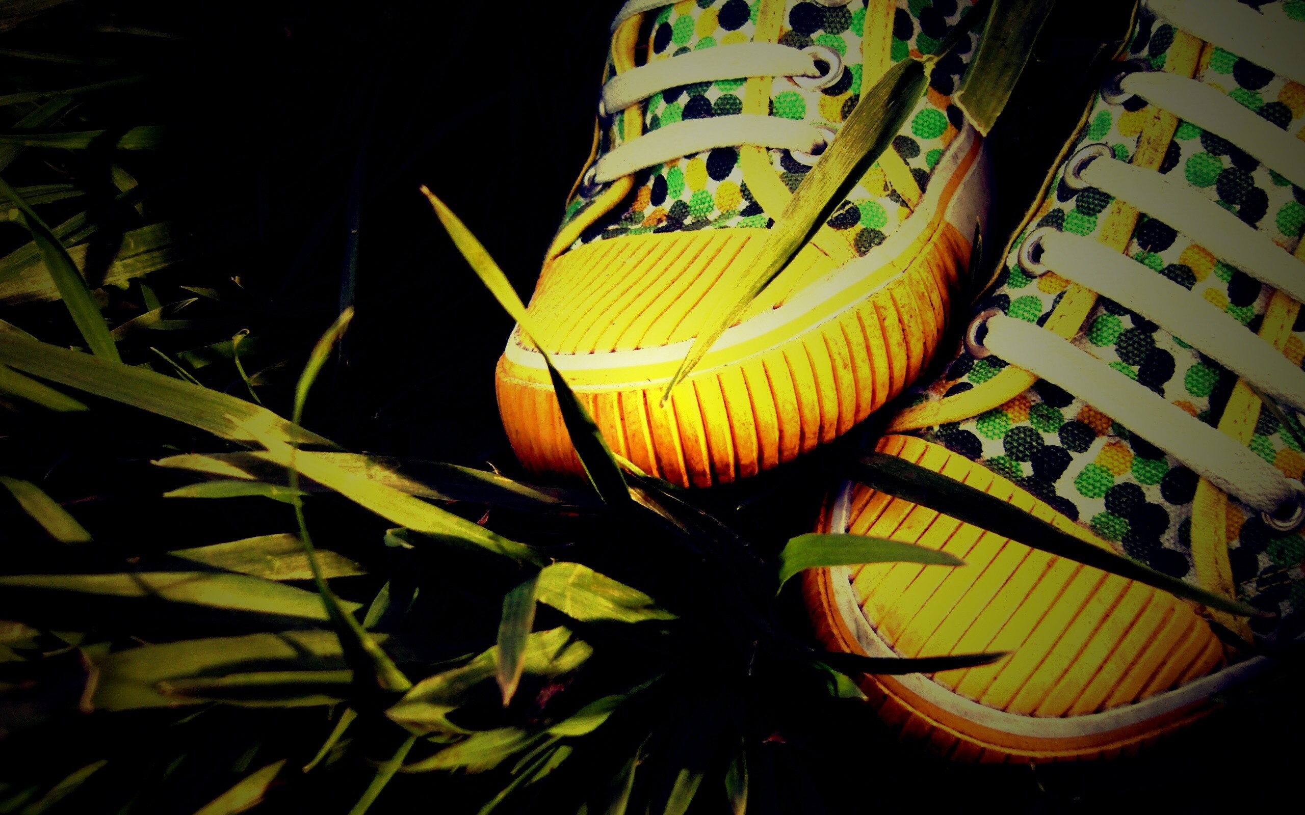 Желтые кеды в горошек обои