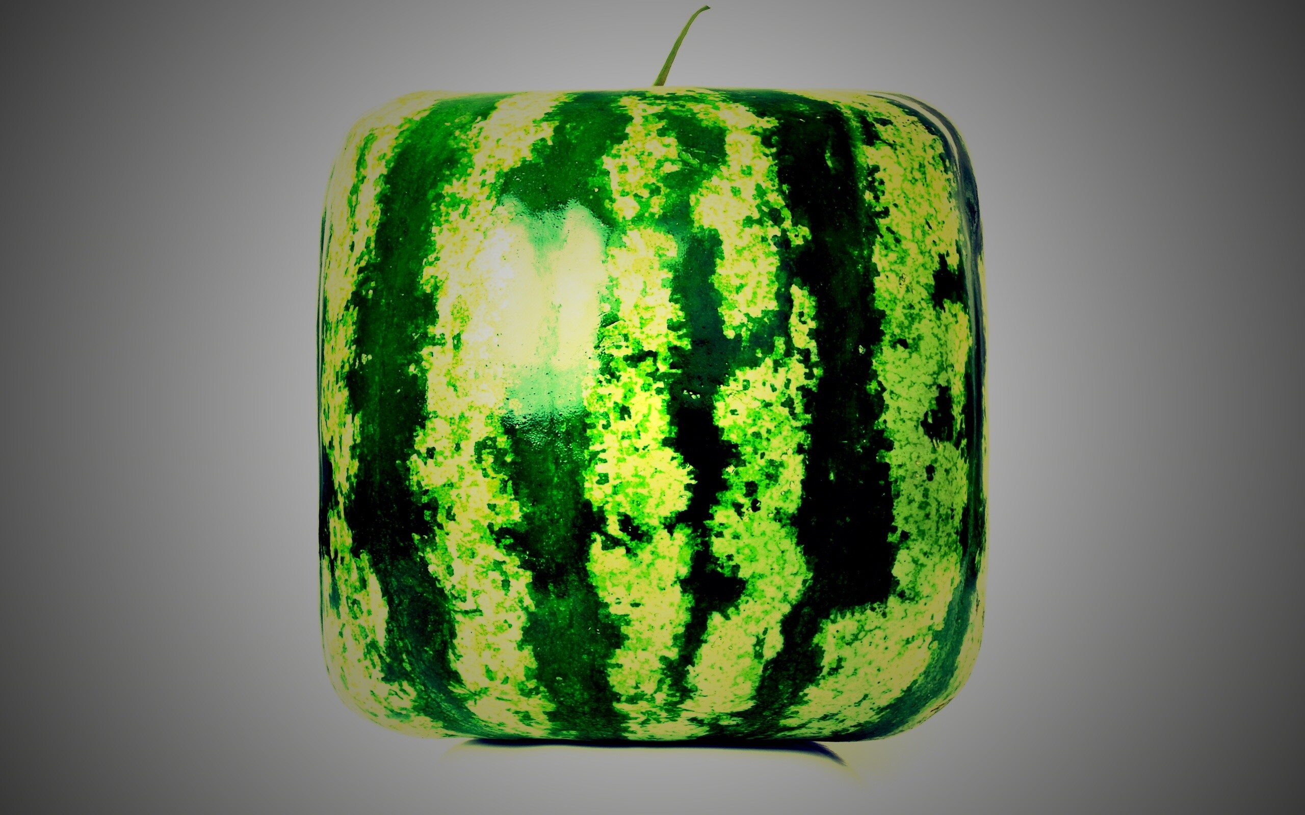 Квадратный арбуз обои