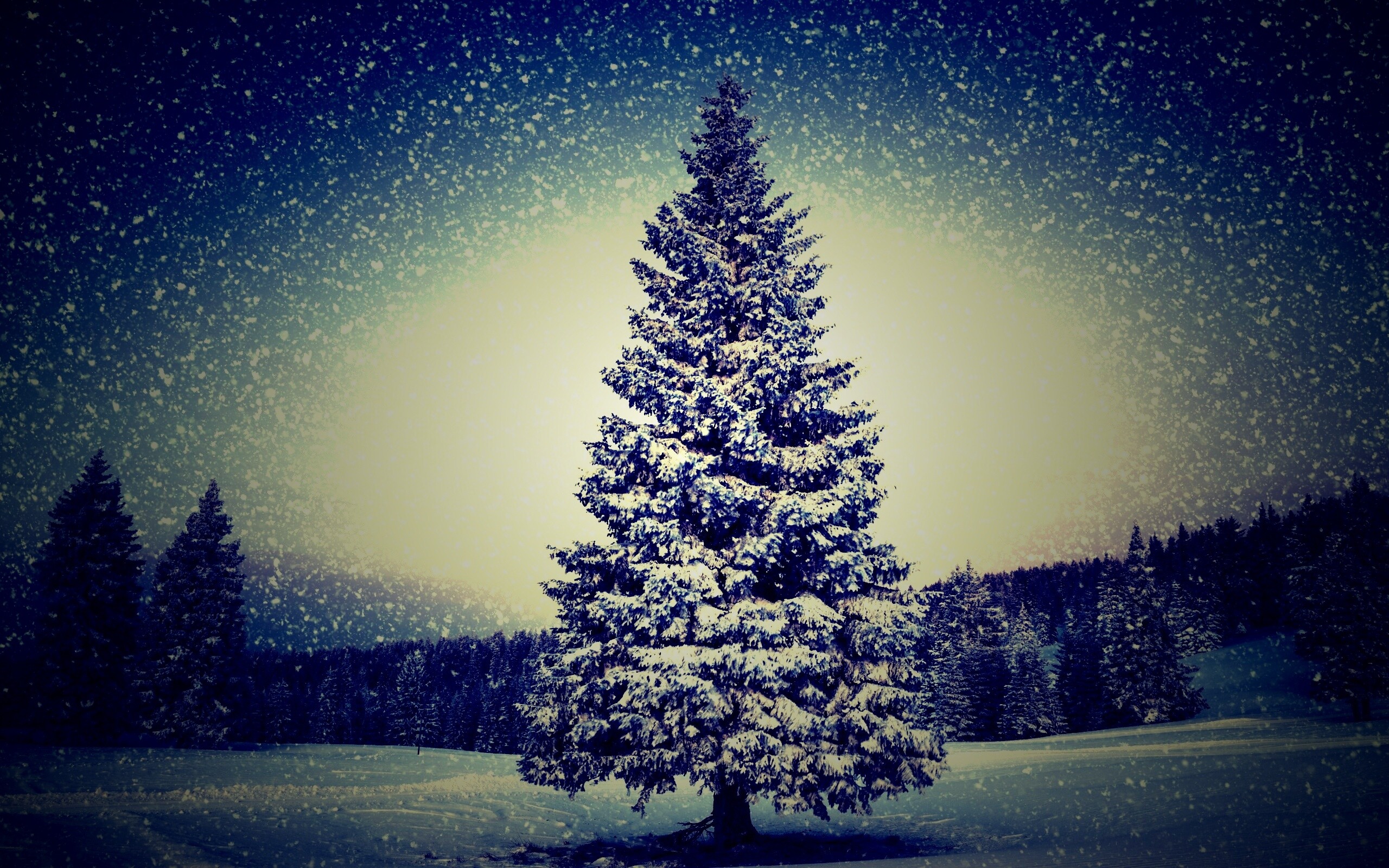 Ель в снегопад обои