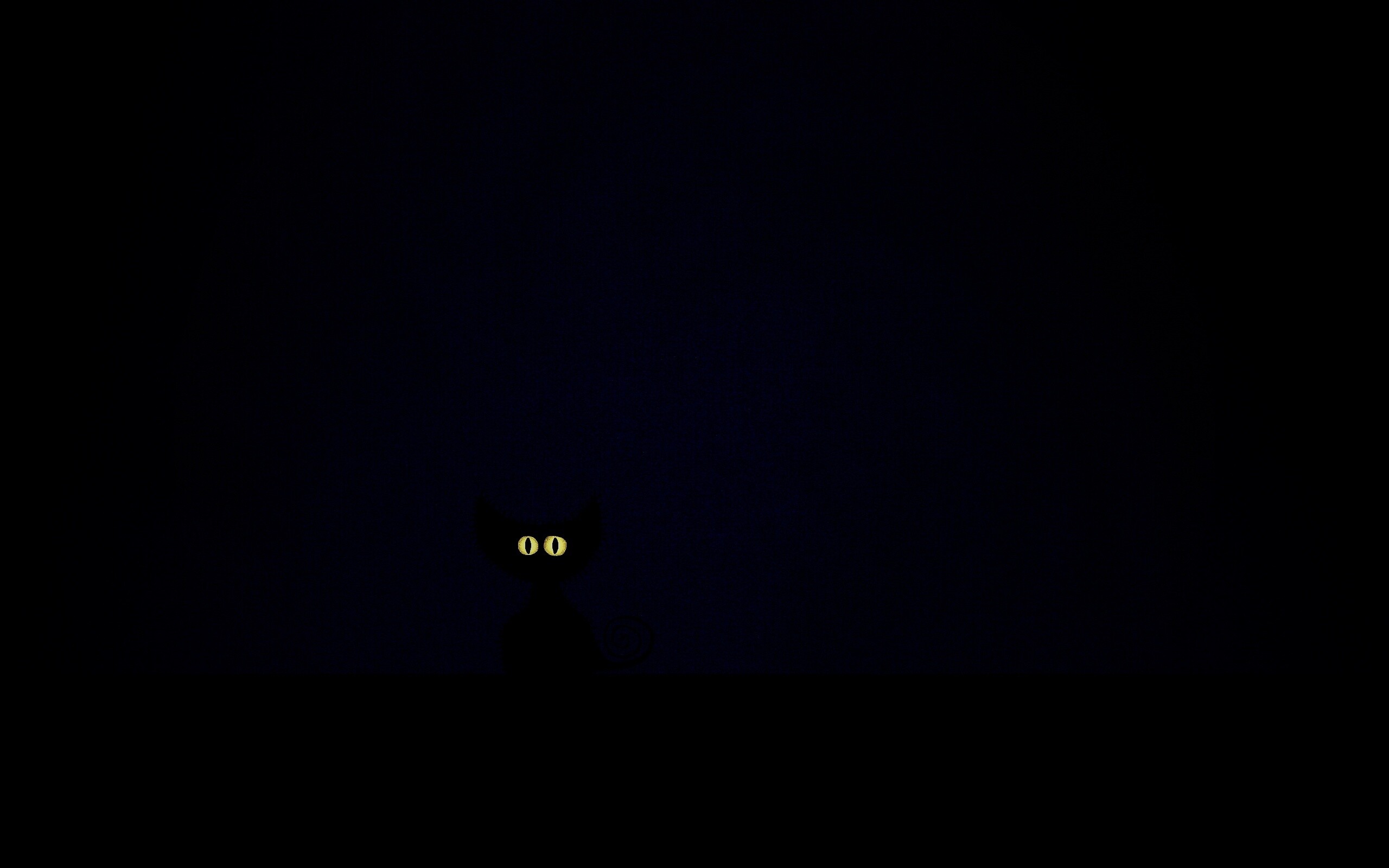 Чёрный кот в ночи обои