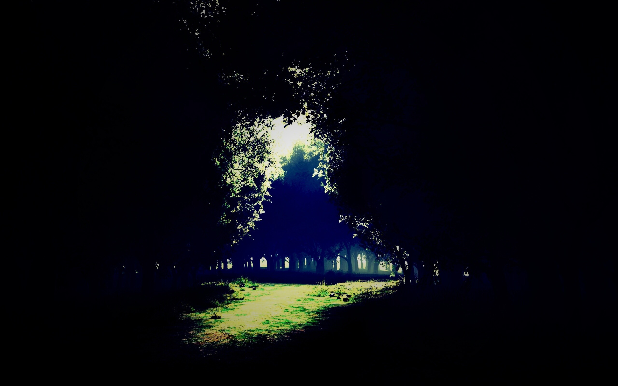 Сумерки в волшебном лесу обои