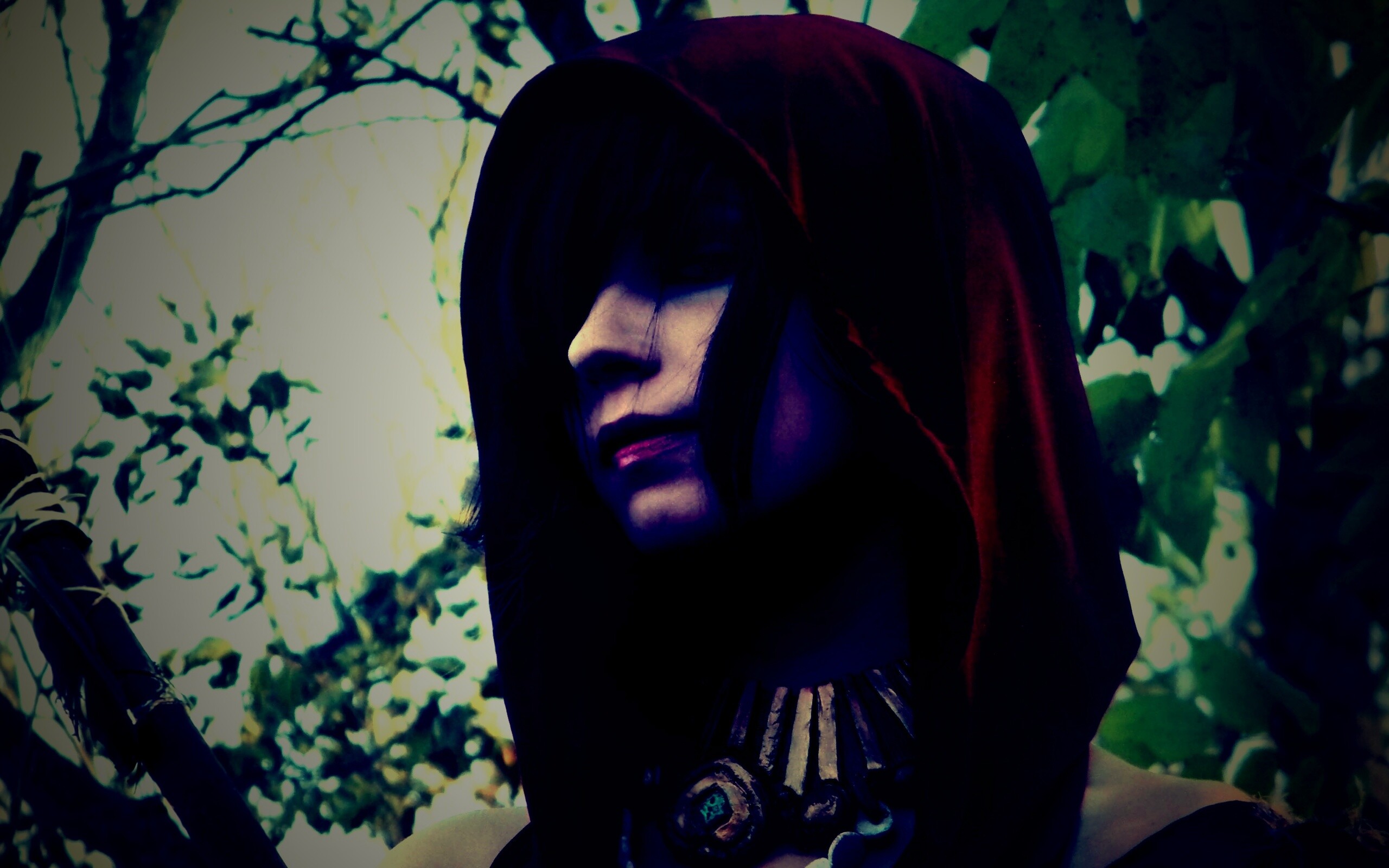 Косплей Морриган обои