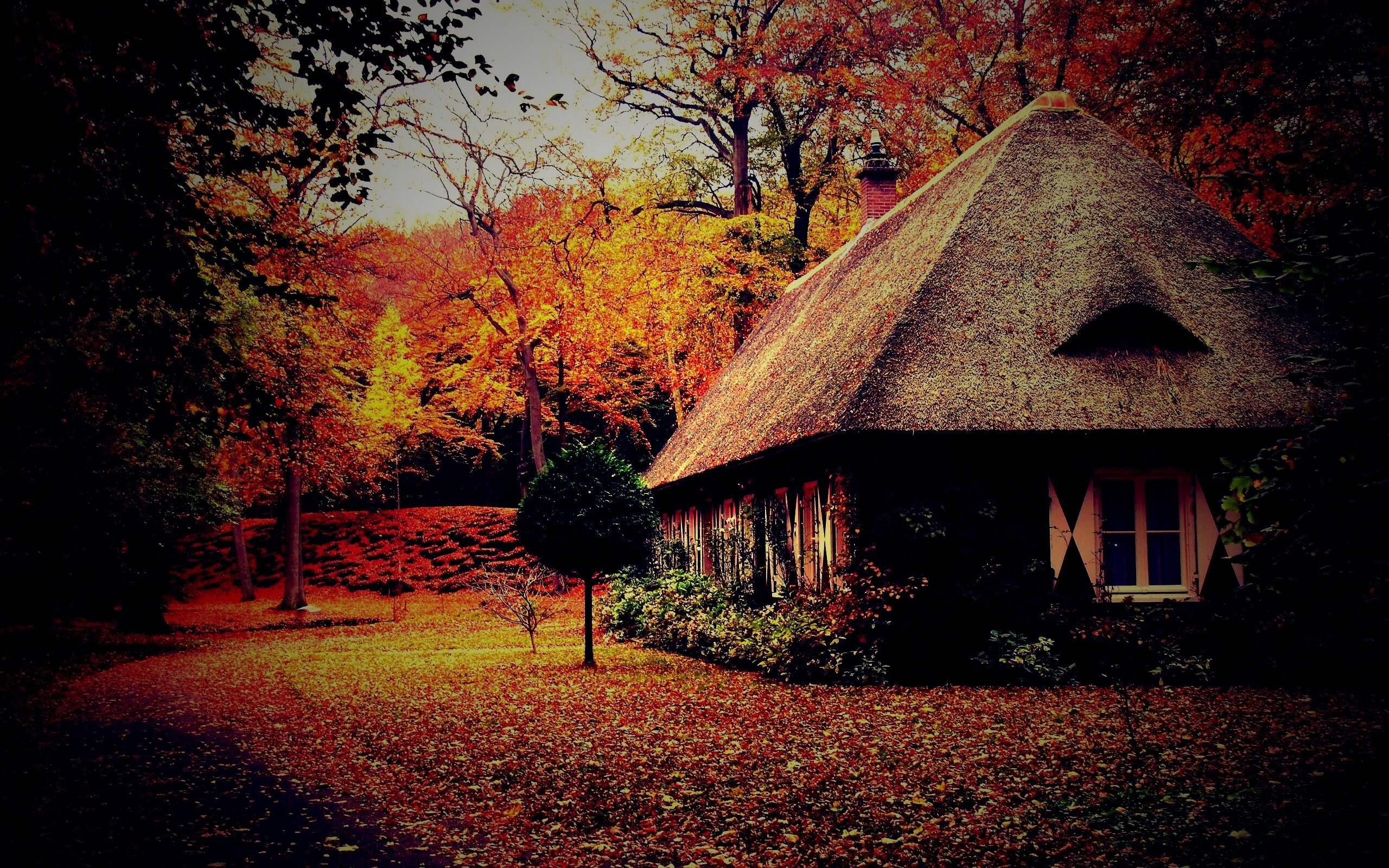 Домик в осеннем лесу обои