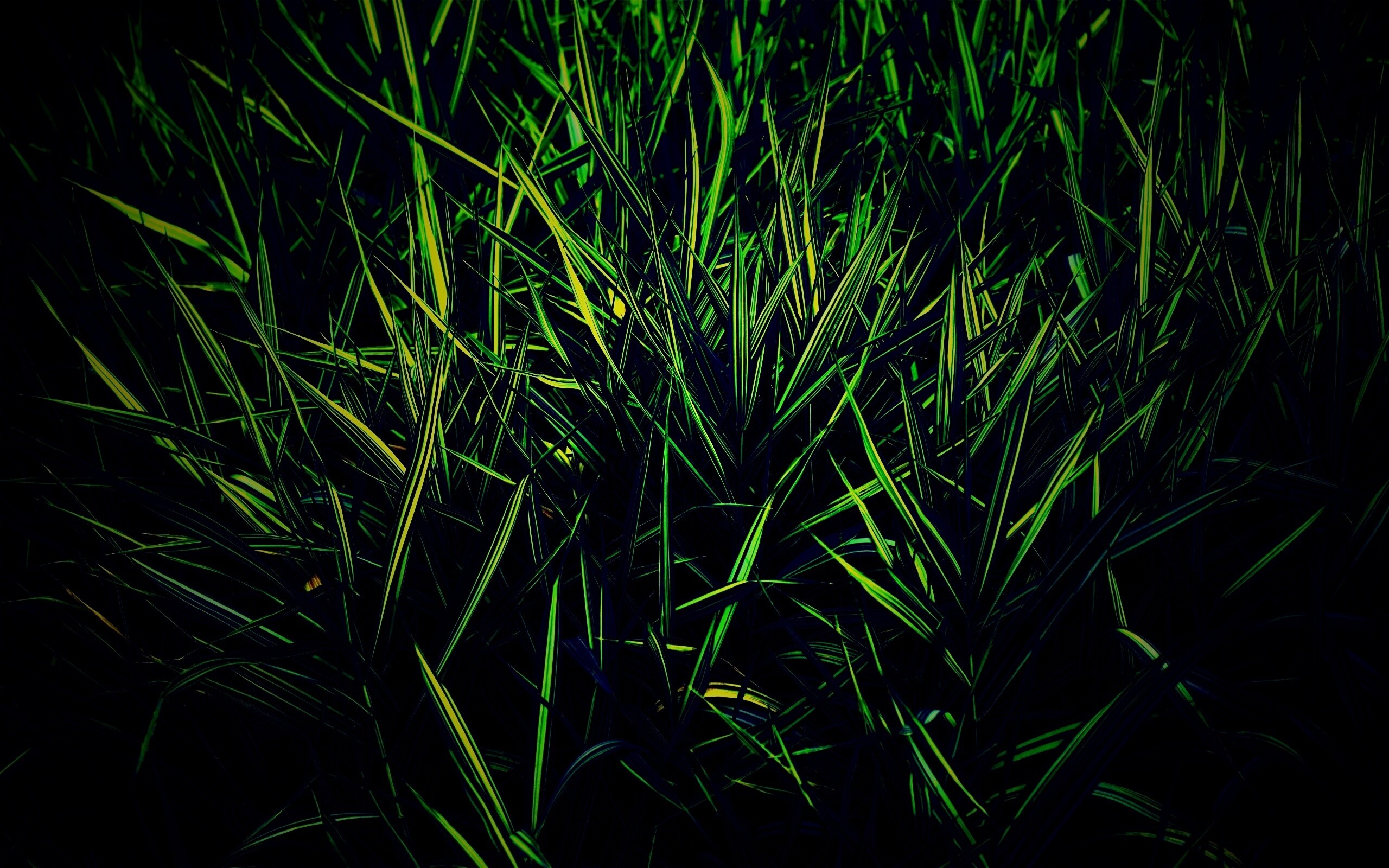 Дикая трава обои