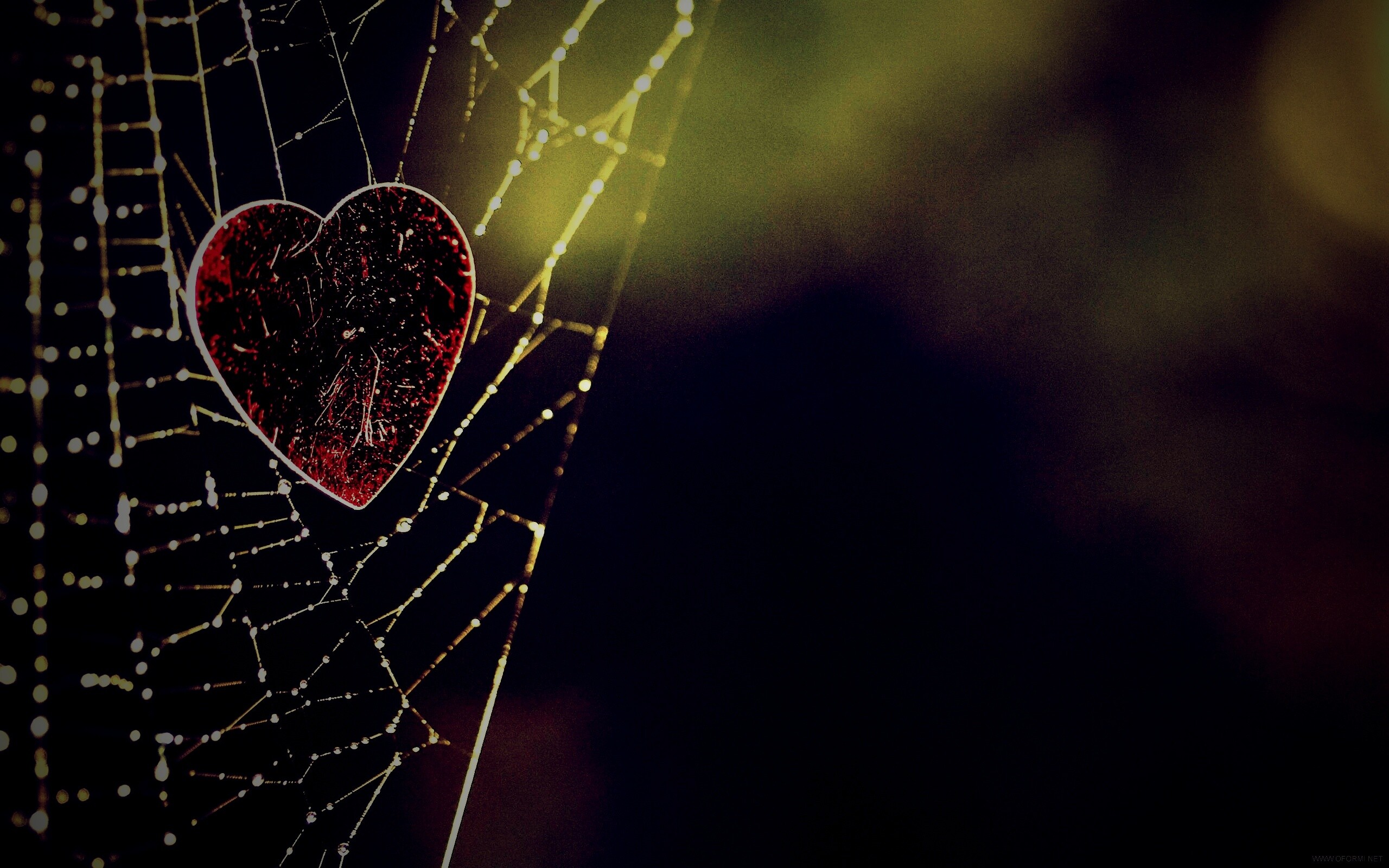 Запутавшаяся любовь.. обои