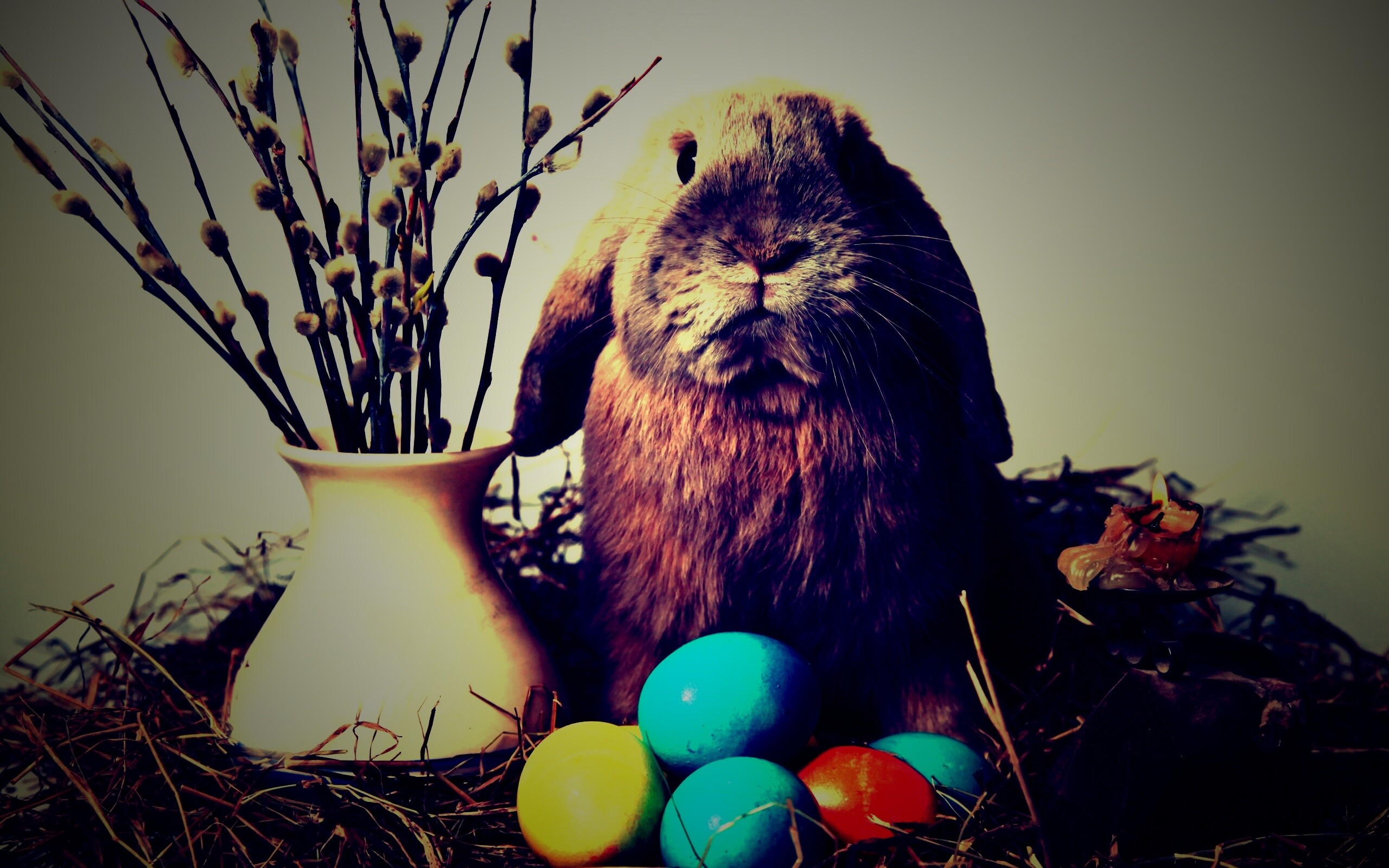 Пасхальный кролик обои