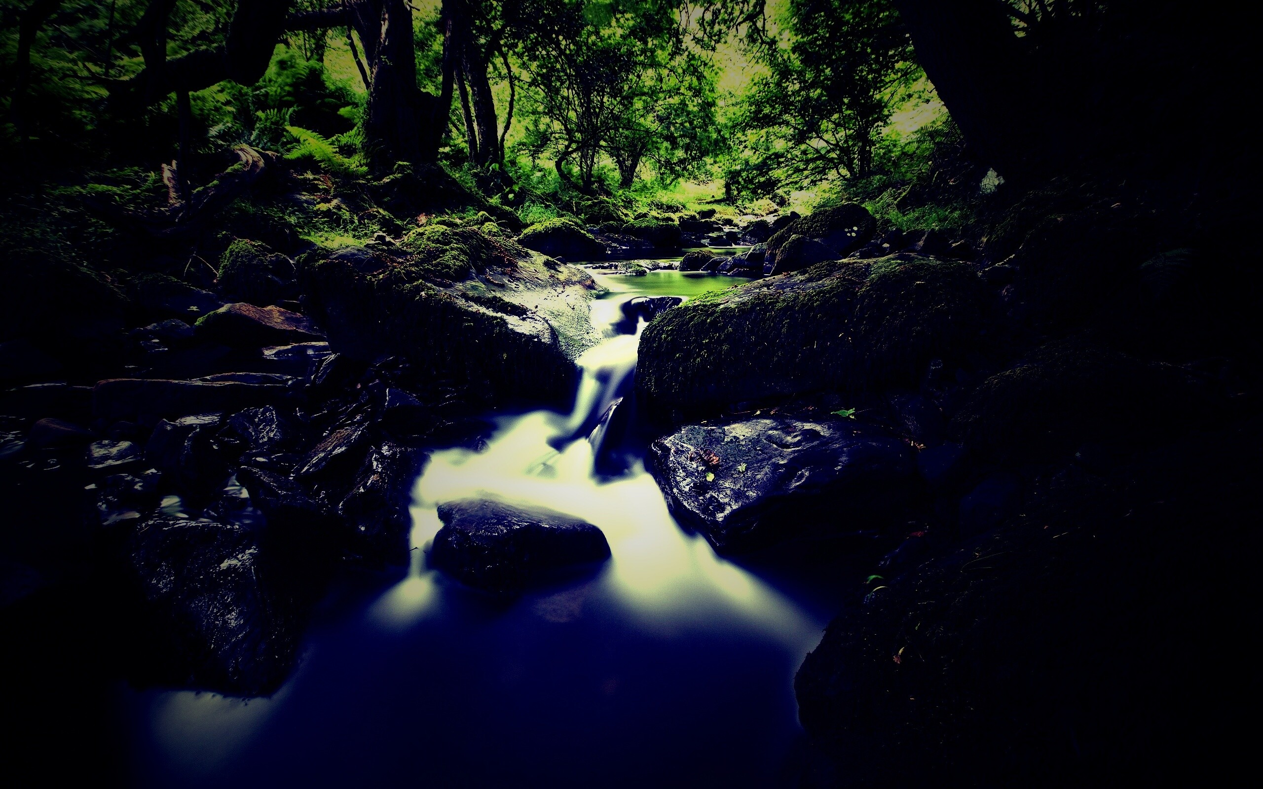 Речной поток в лесу обои