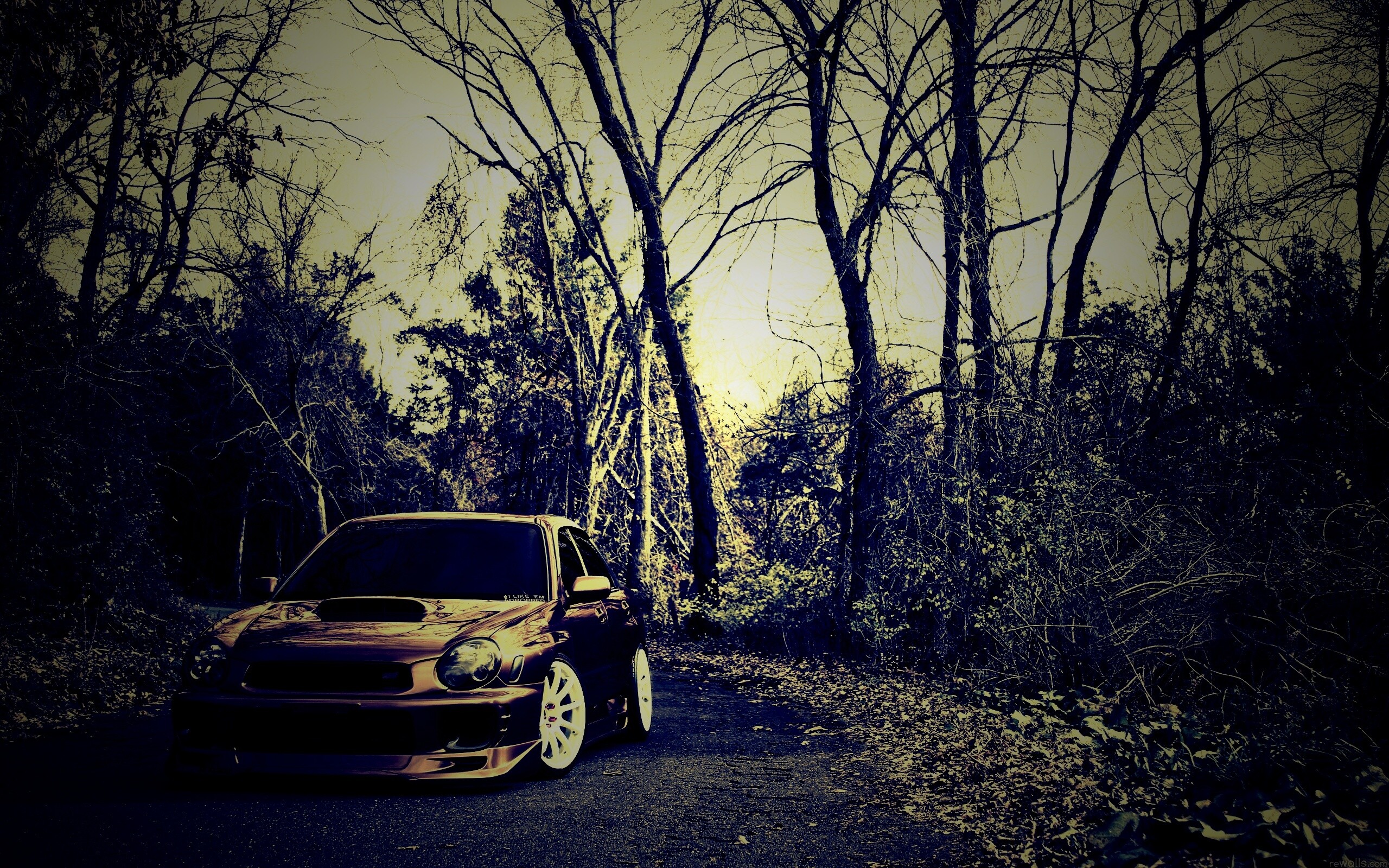 Субару Импреза на лесной дороге обои