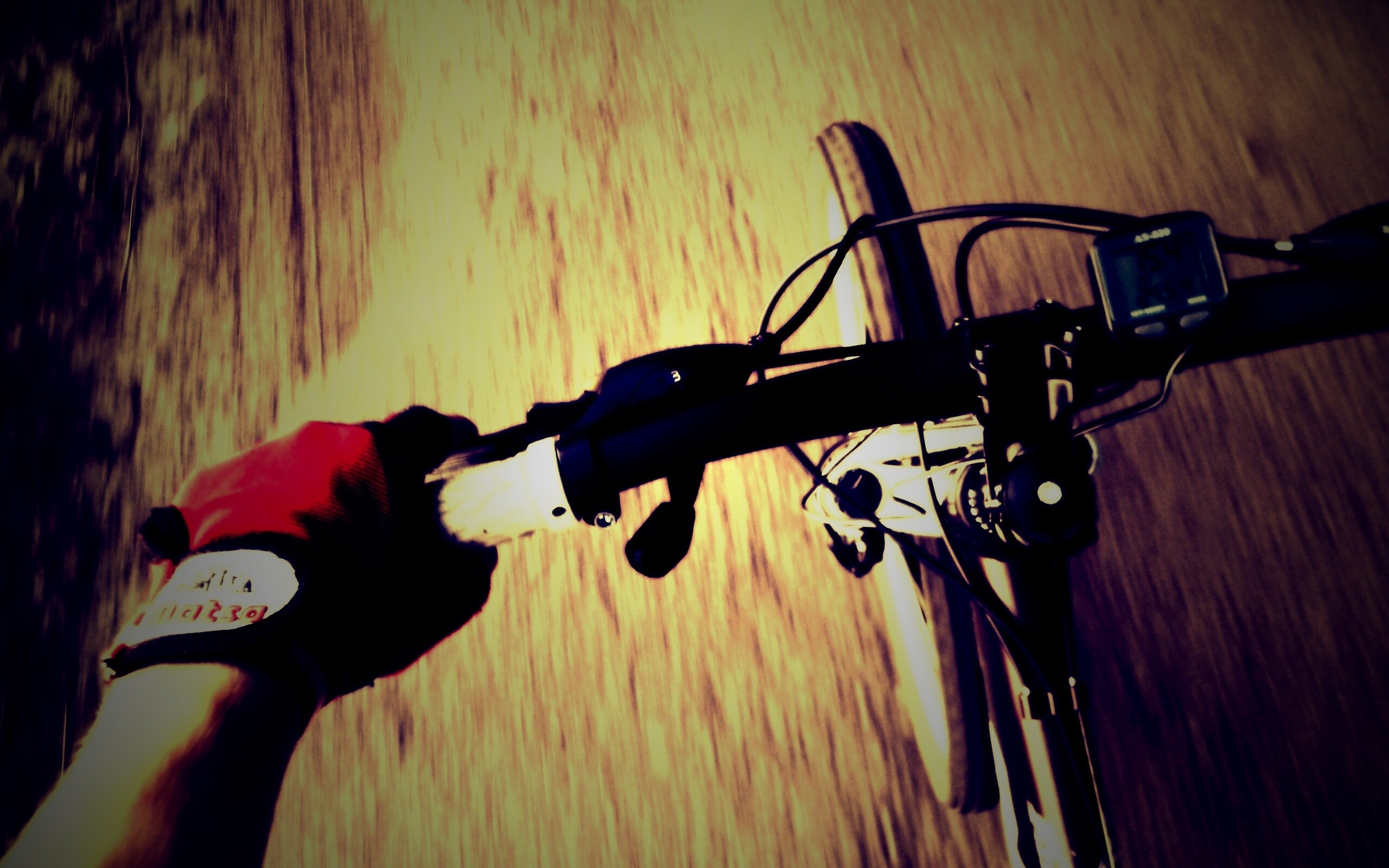 Катание на велосипеде обои