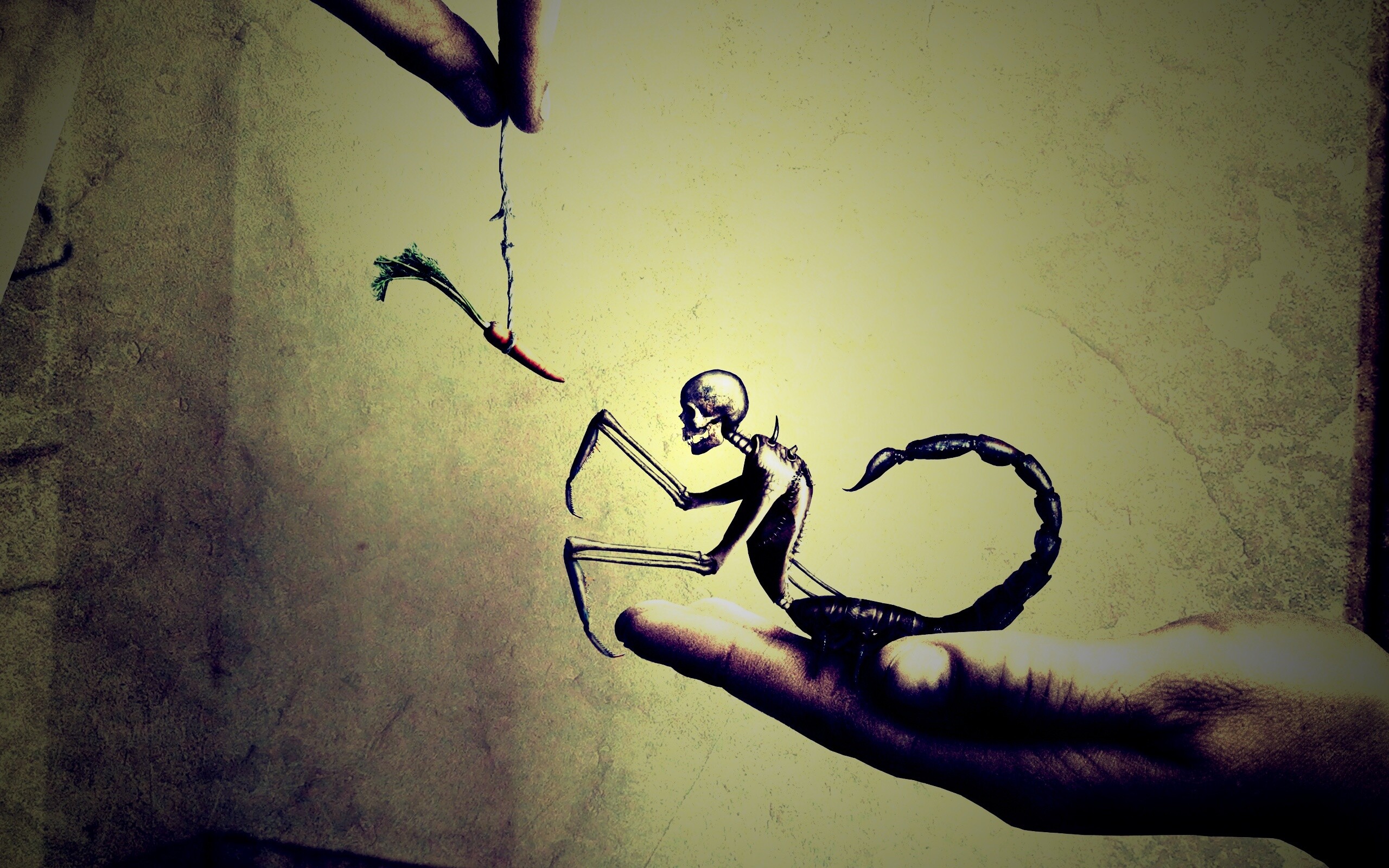 Кормёжка смерти обои