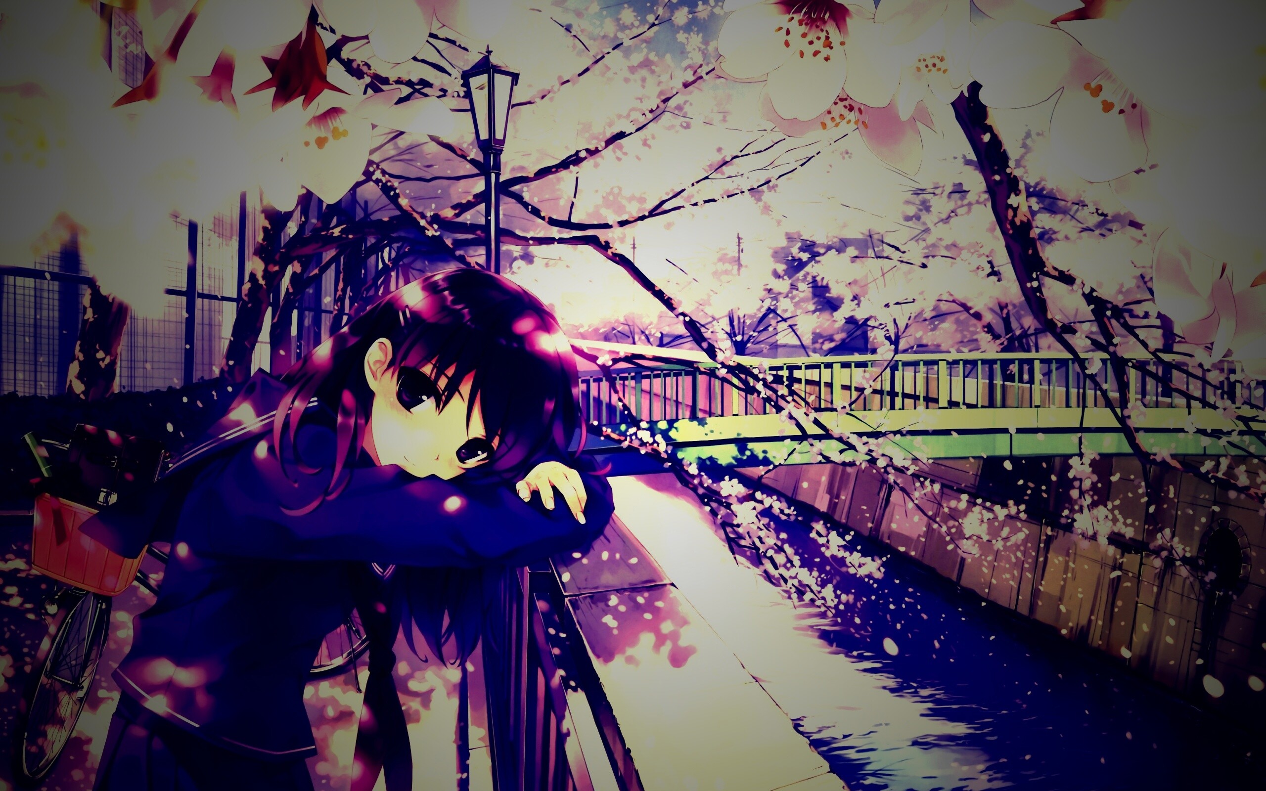 Девушка среди лепестков сакуры обои