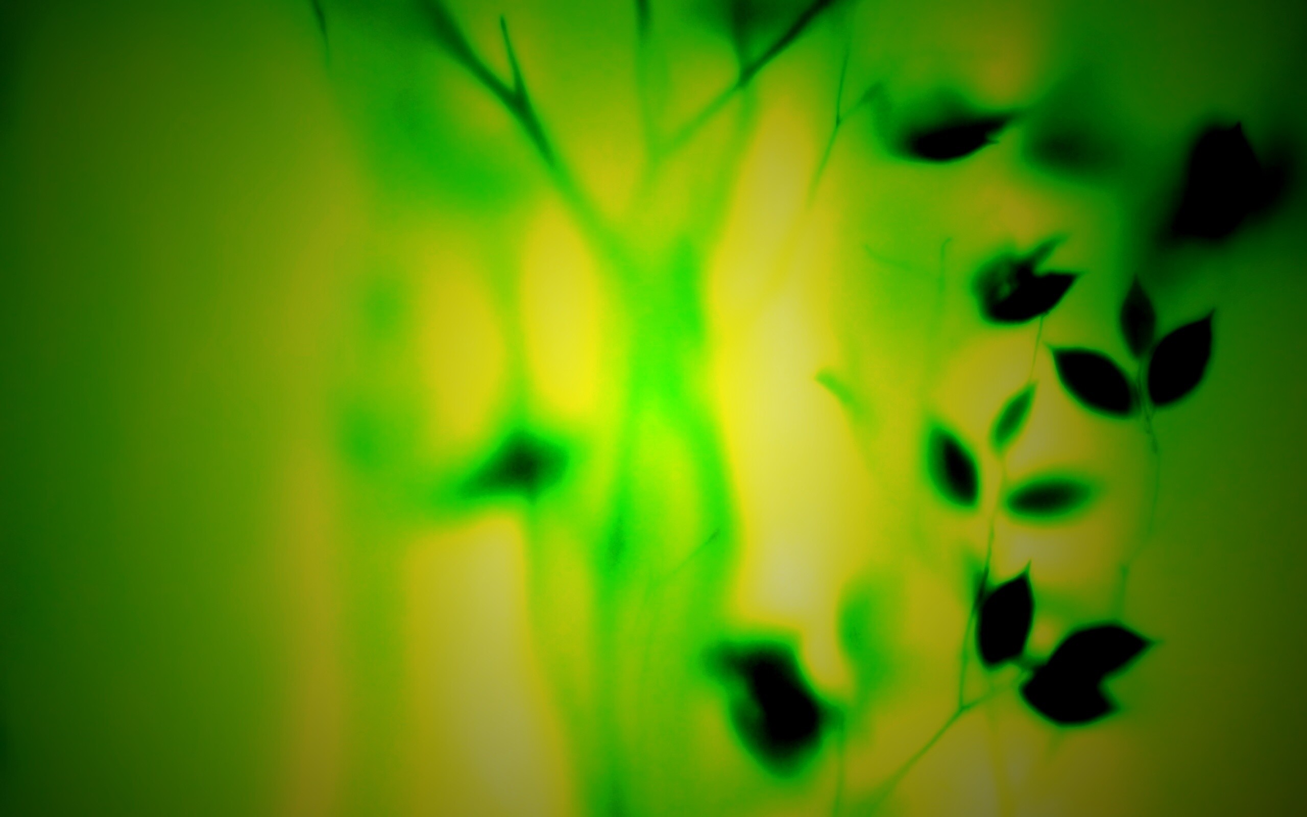 Зелень за стеклом обои