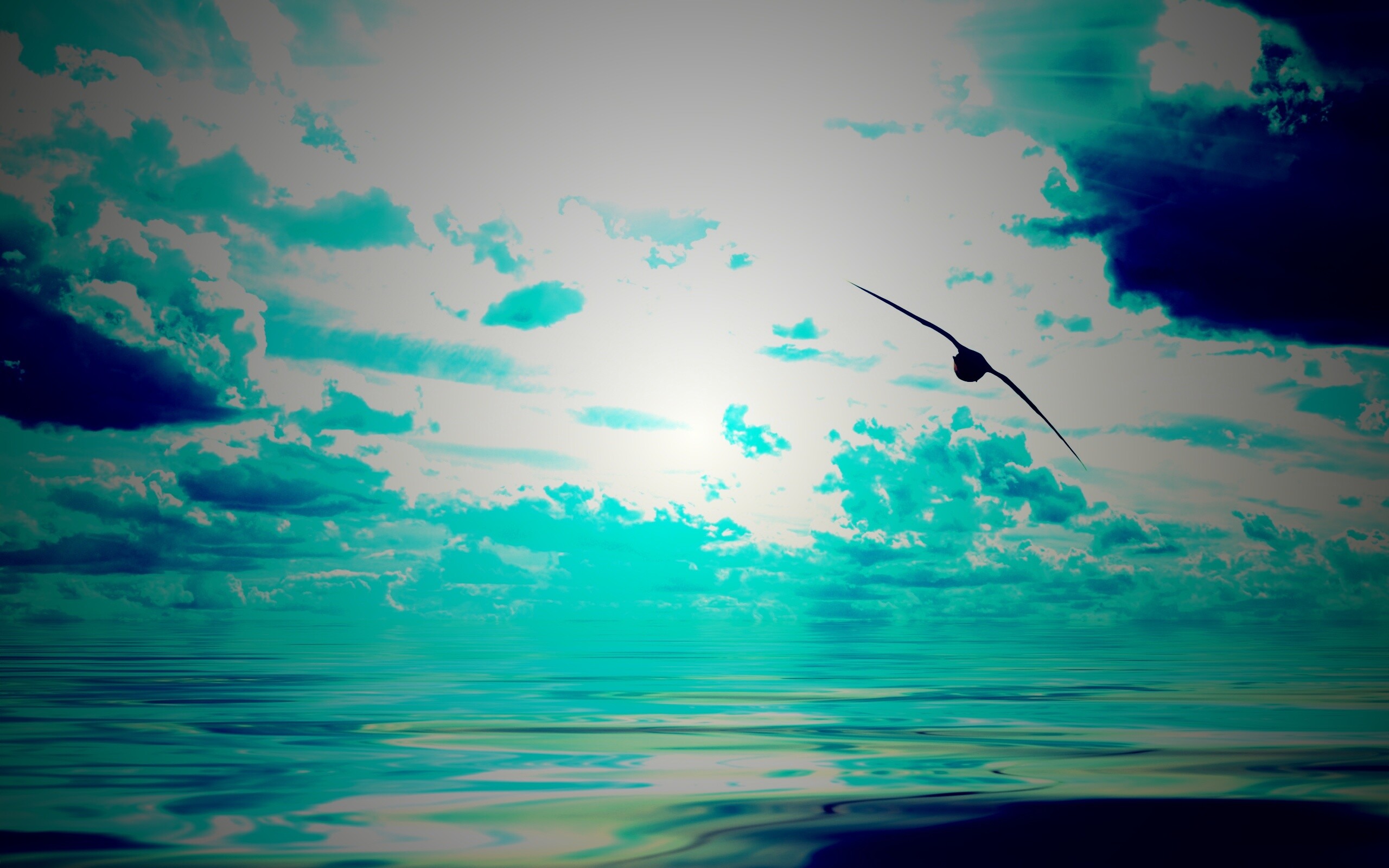 Лети как птица над волнами обои