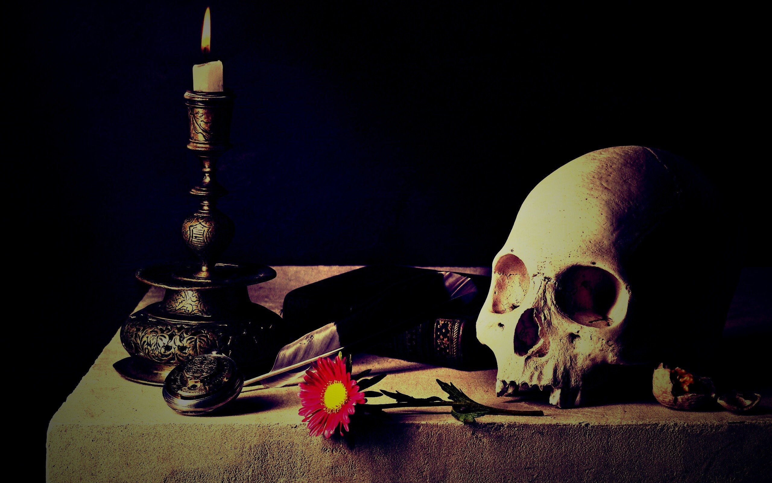 Проблеск в темноте обои