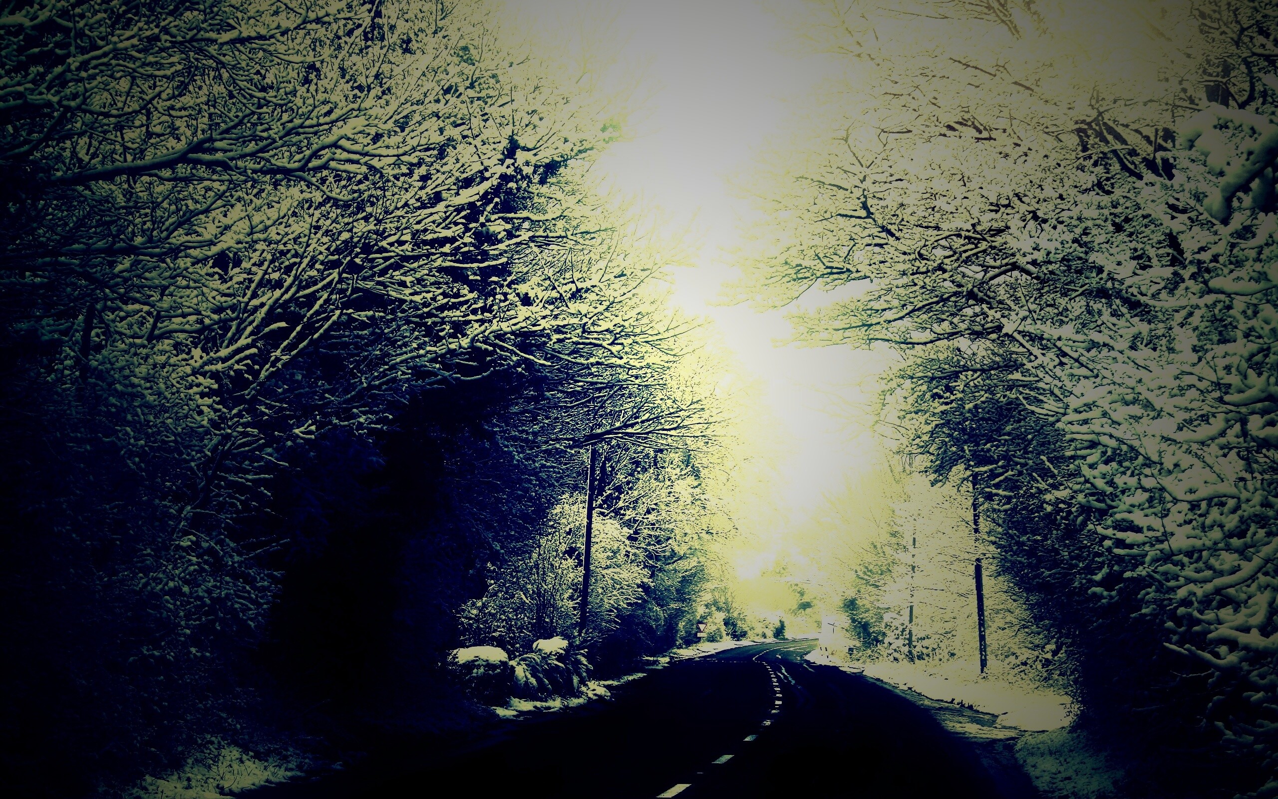 Дорога через зимний лес обои