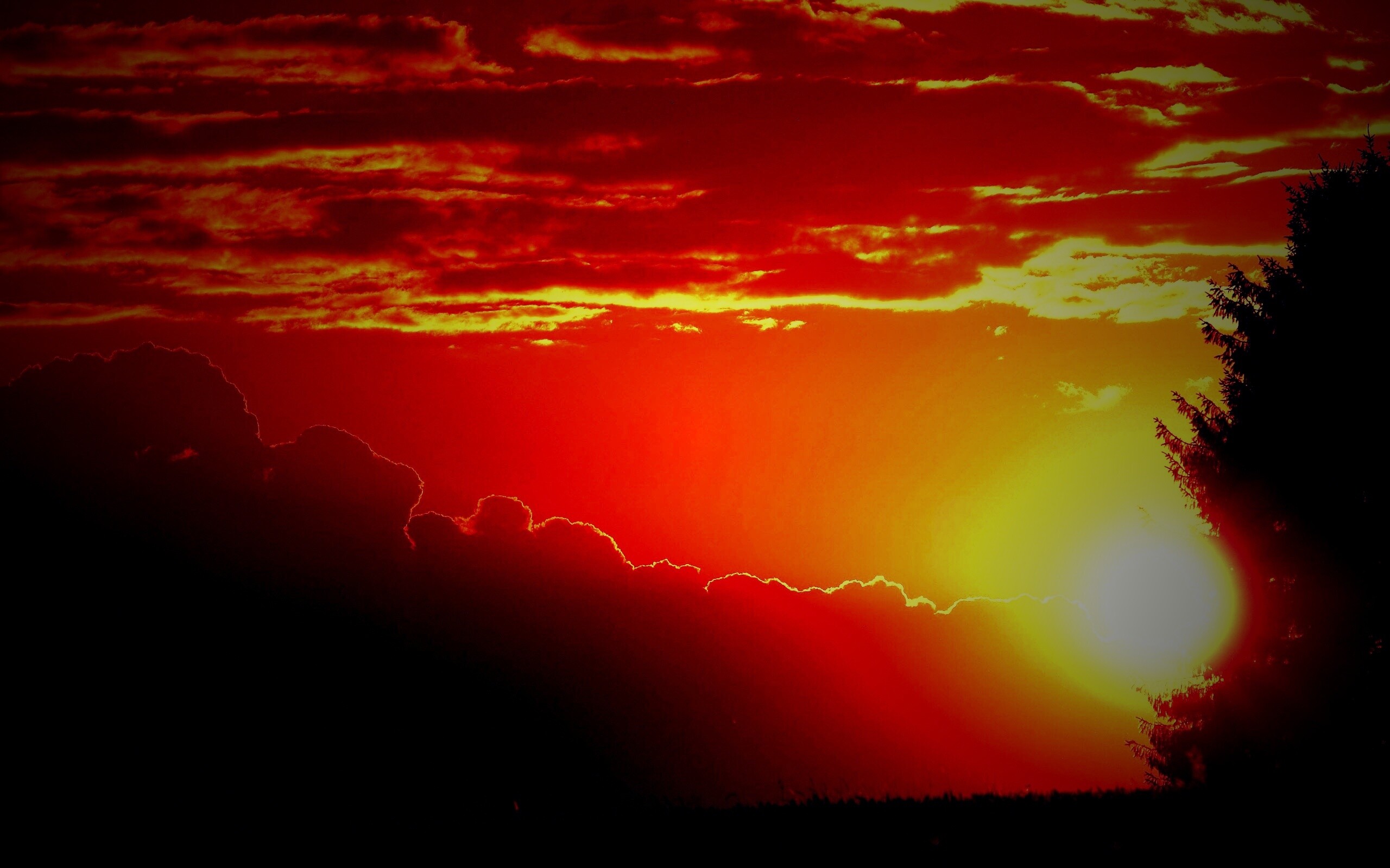 Теплый закат над полем обои