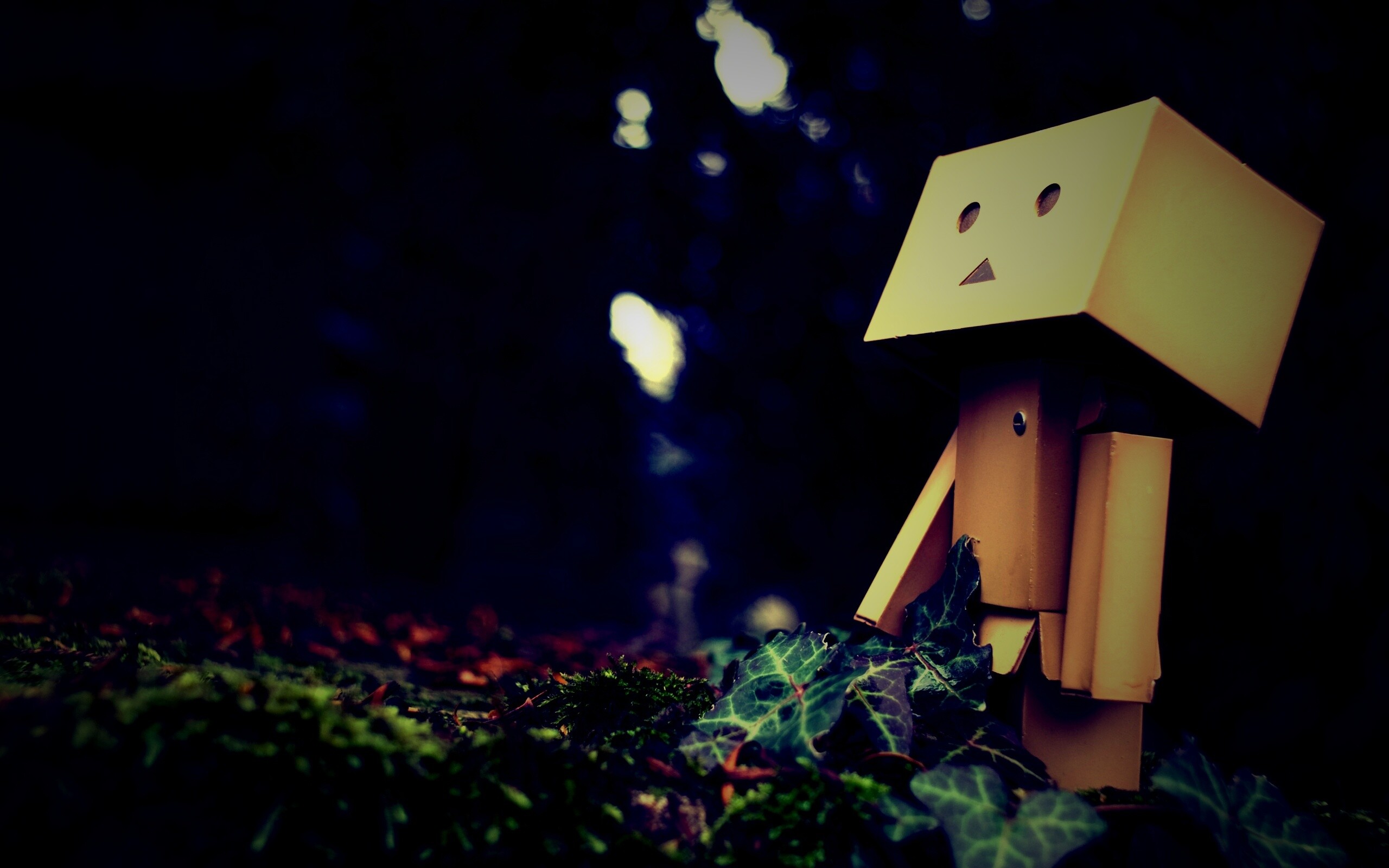 Danbo смотрит вверх обои