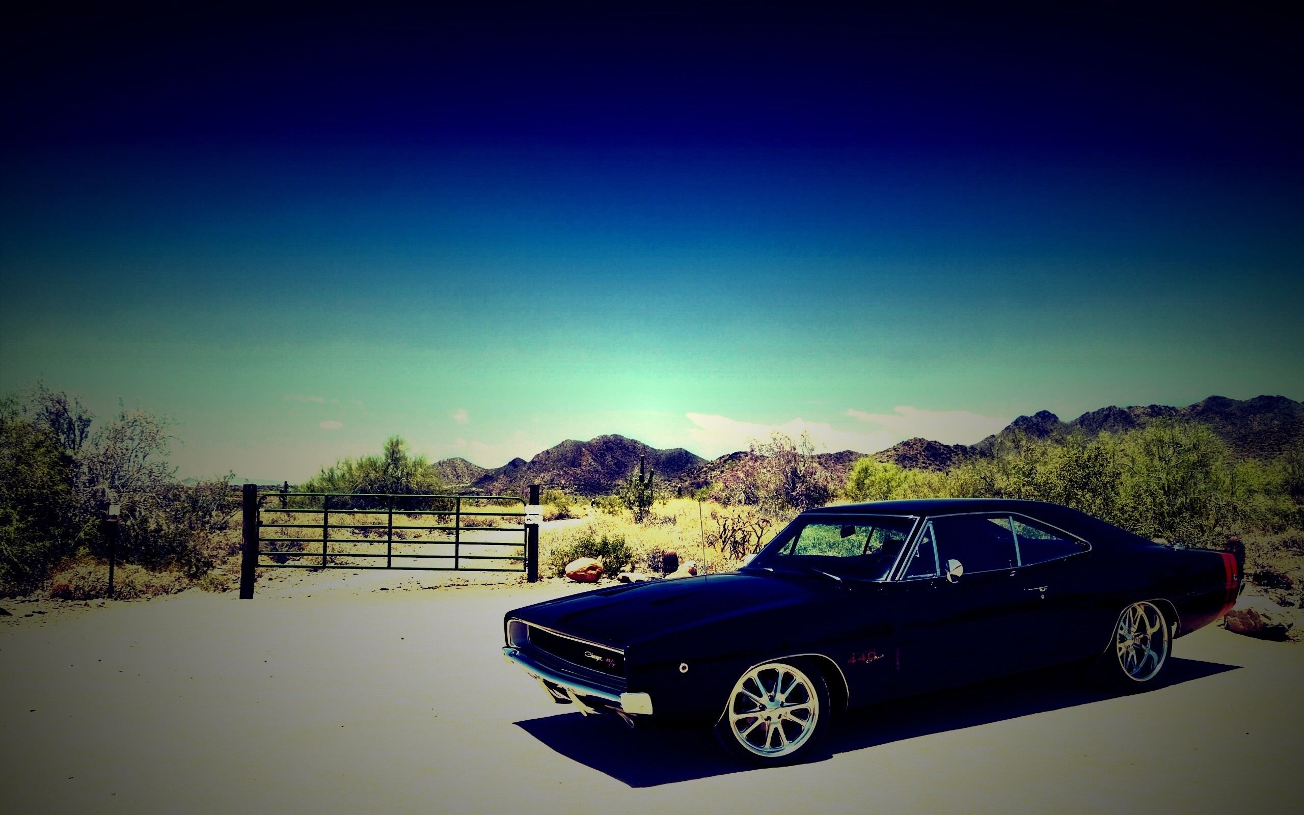 Мускулкар под палящим солнцем обои