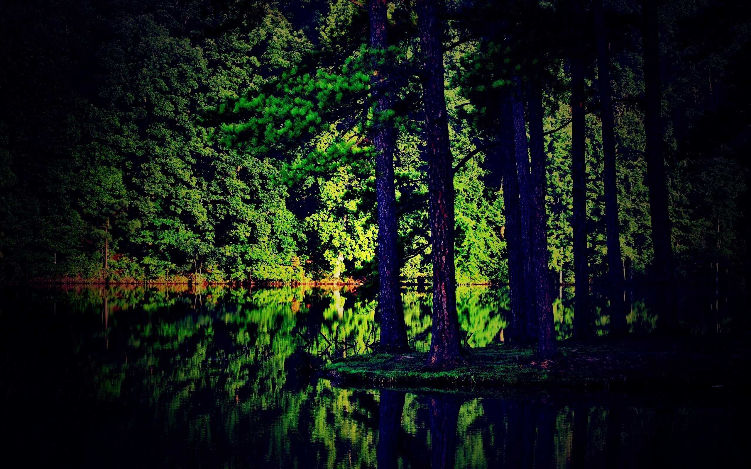 Островок посреди озера обои