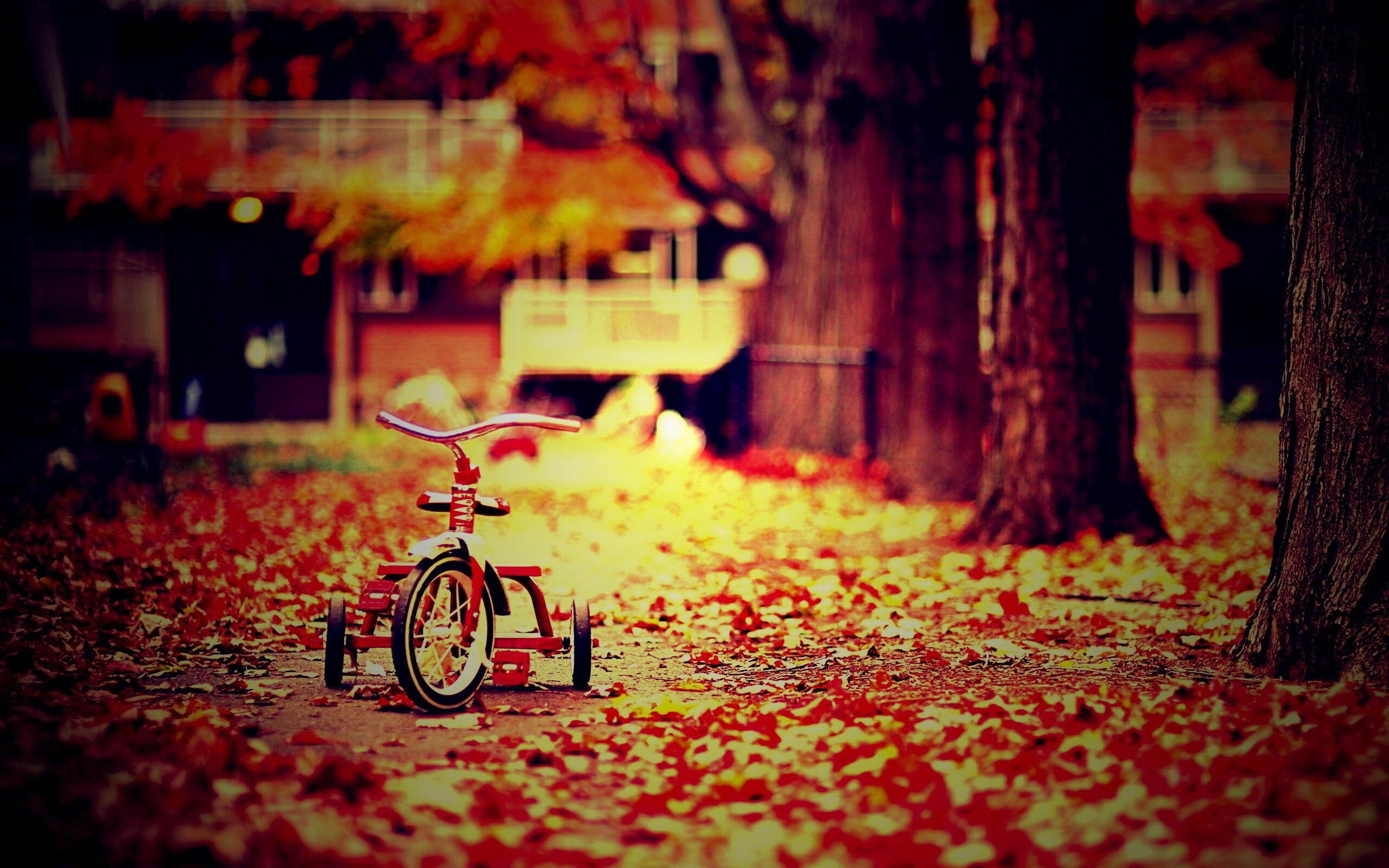 Трёхколёсный друг на осенней дорожке обои