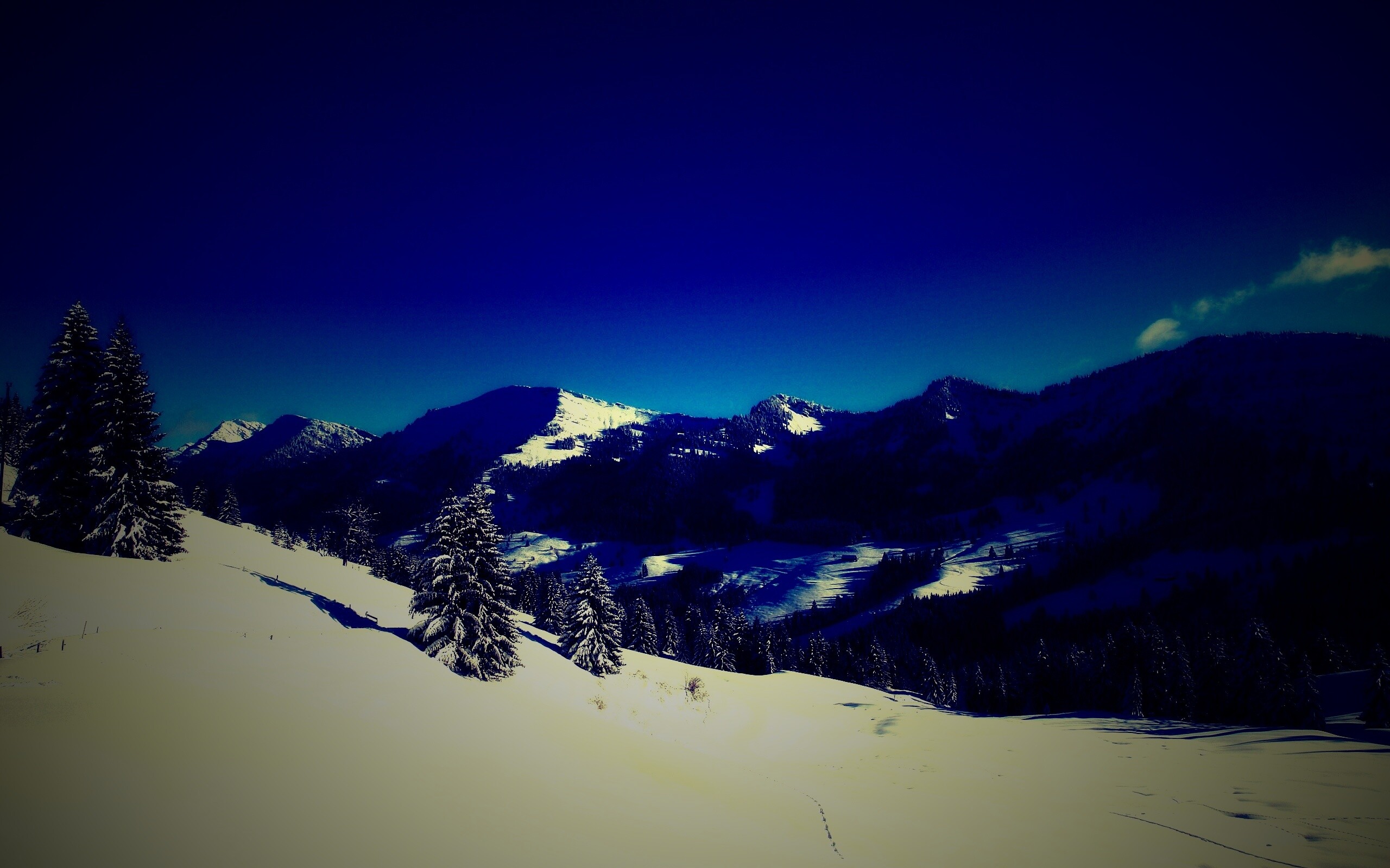 Лес в горах обои