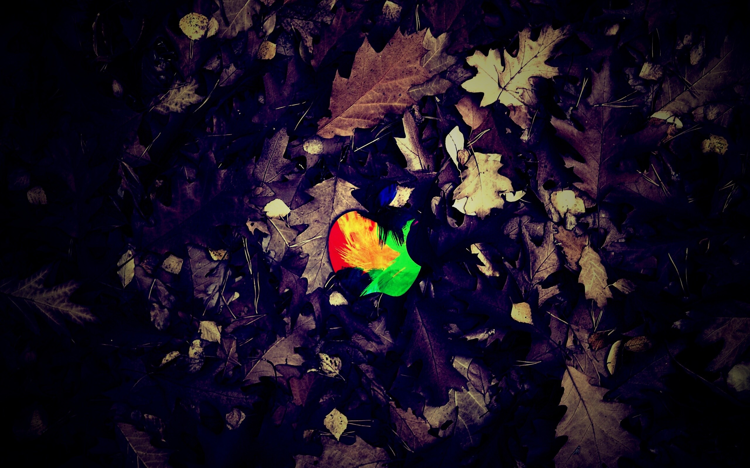 Яблоко в листьях обои