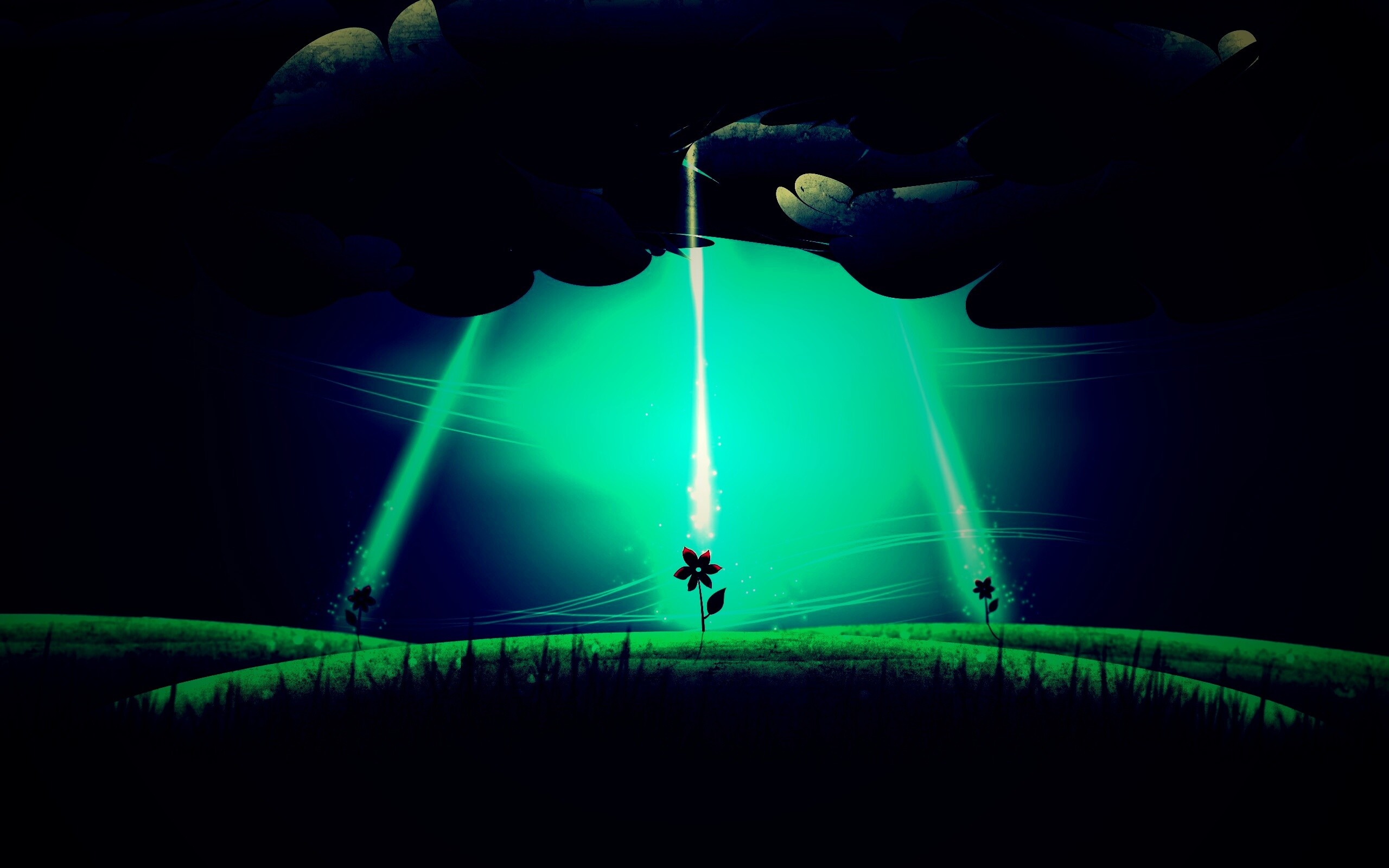 Свет для цветов обои