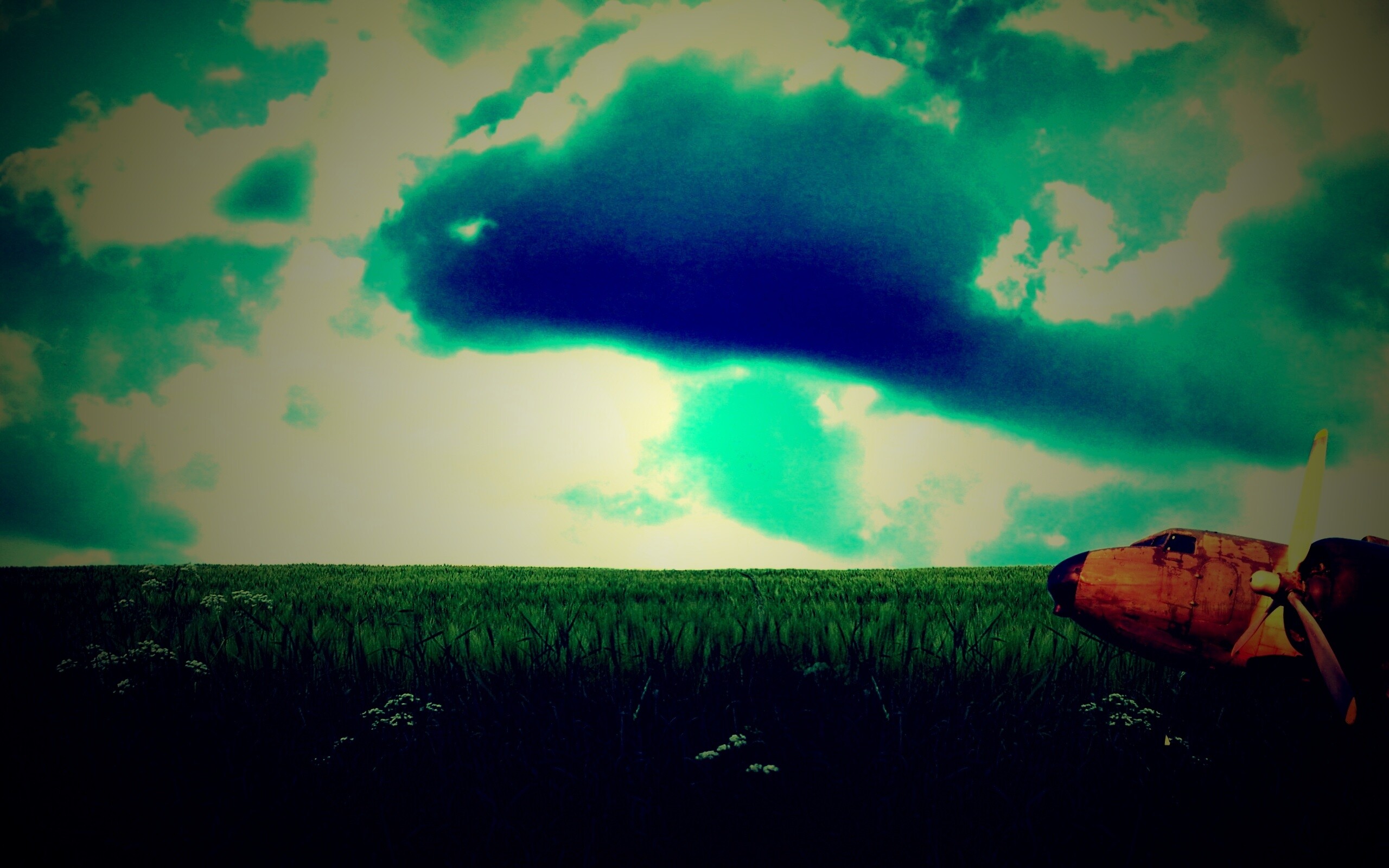 Старый ржавый самолет на лугу обои