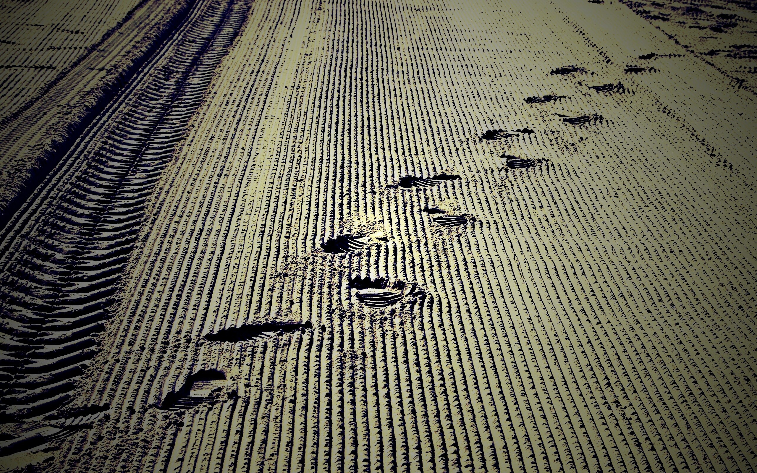 Следы на песке обои