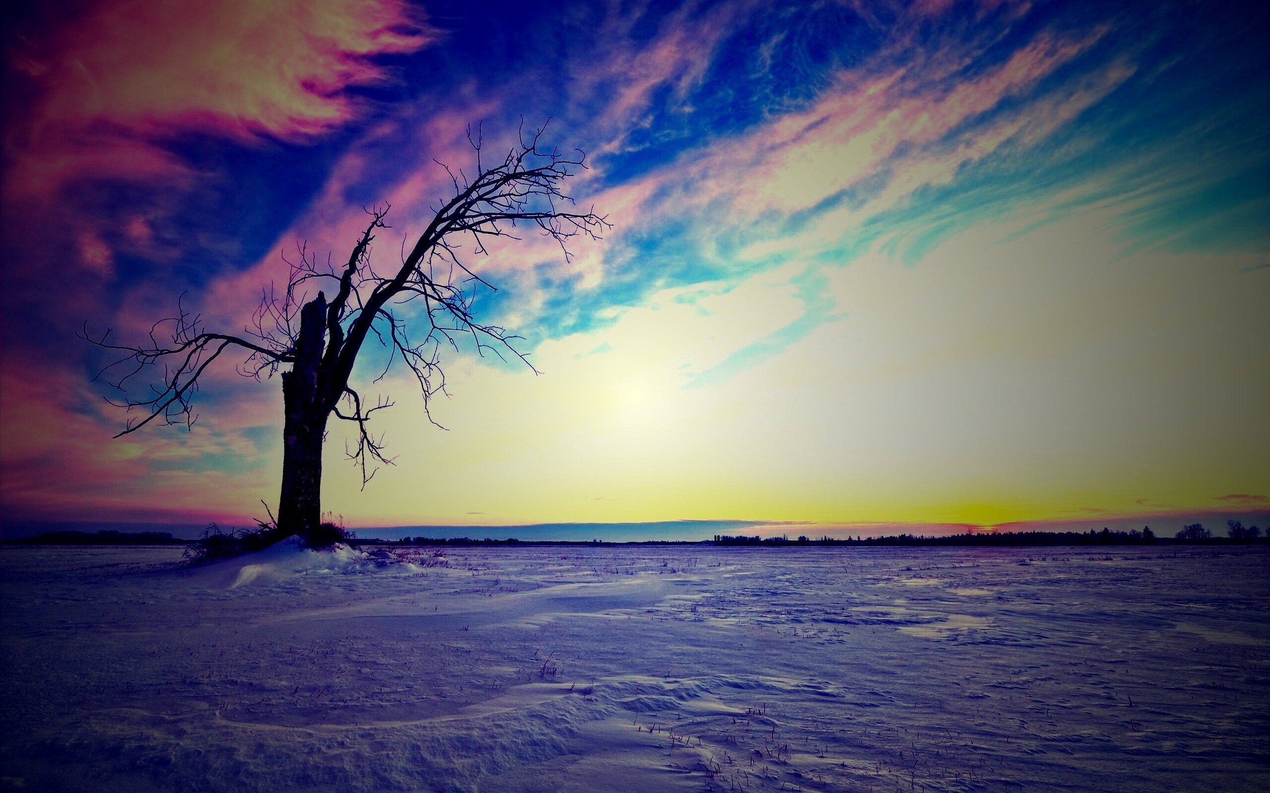 Сломанное дерево в снежной тундре обои