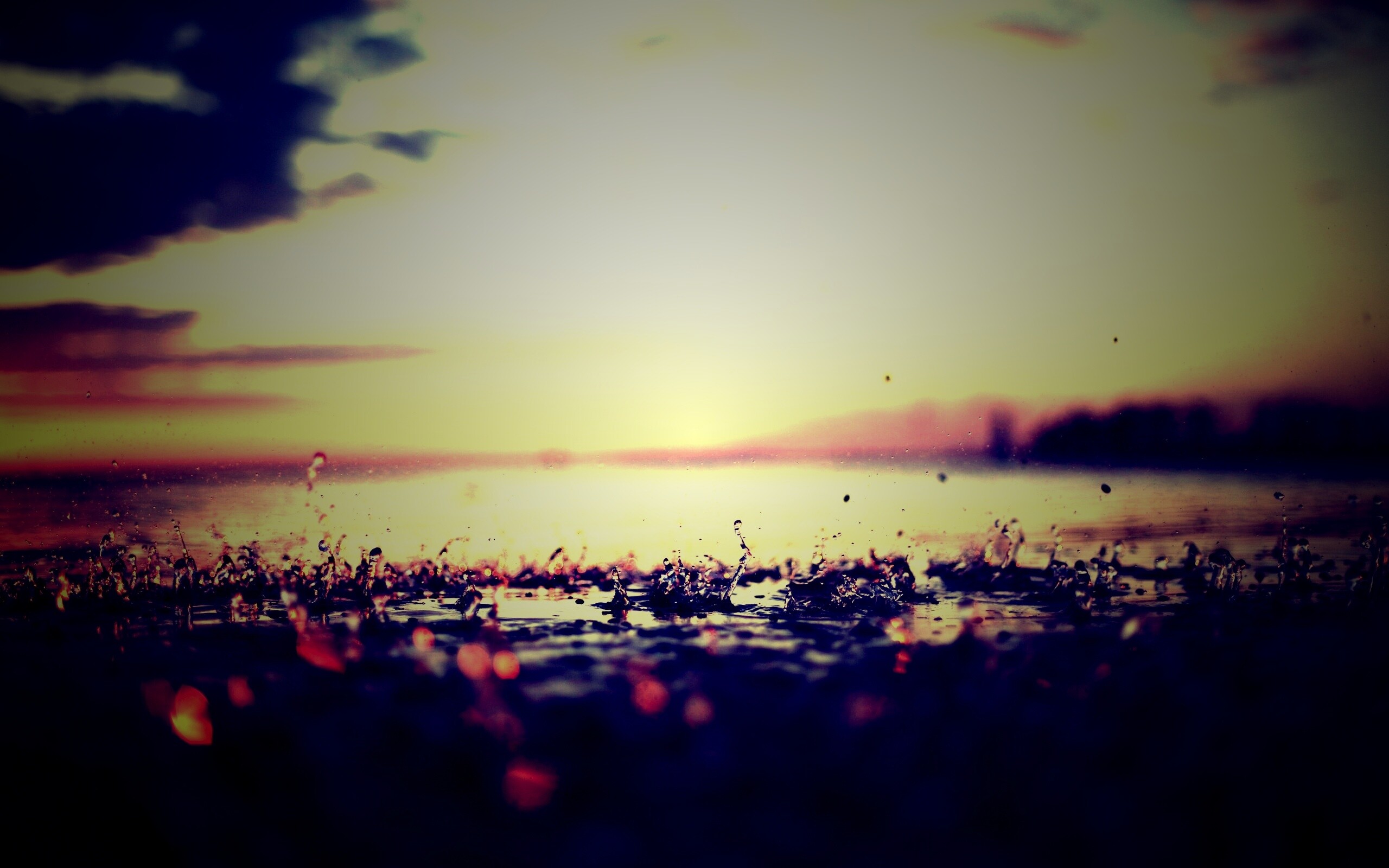 Дождь в макро обои