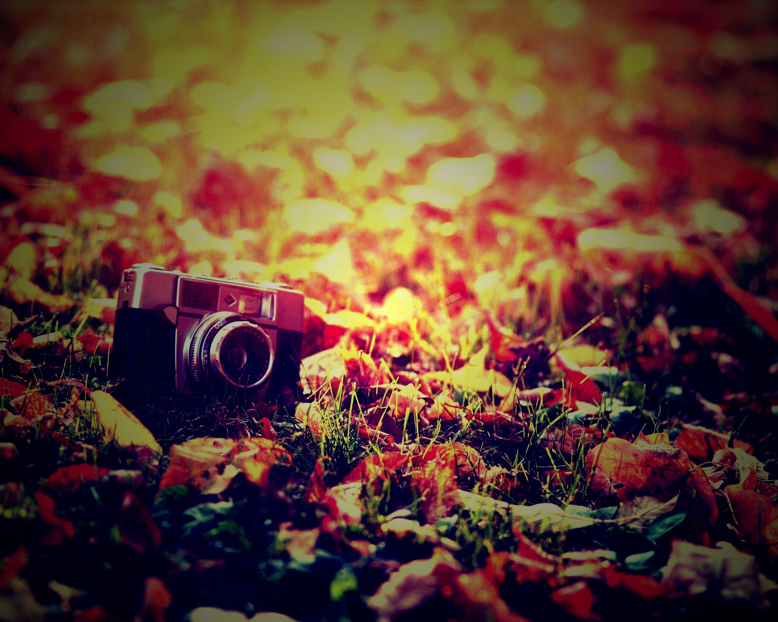 Старый фотоаппарат в траве обои