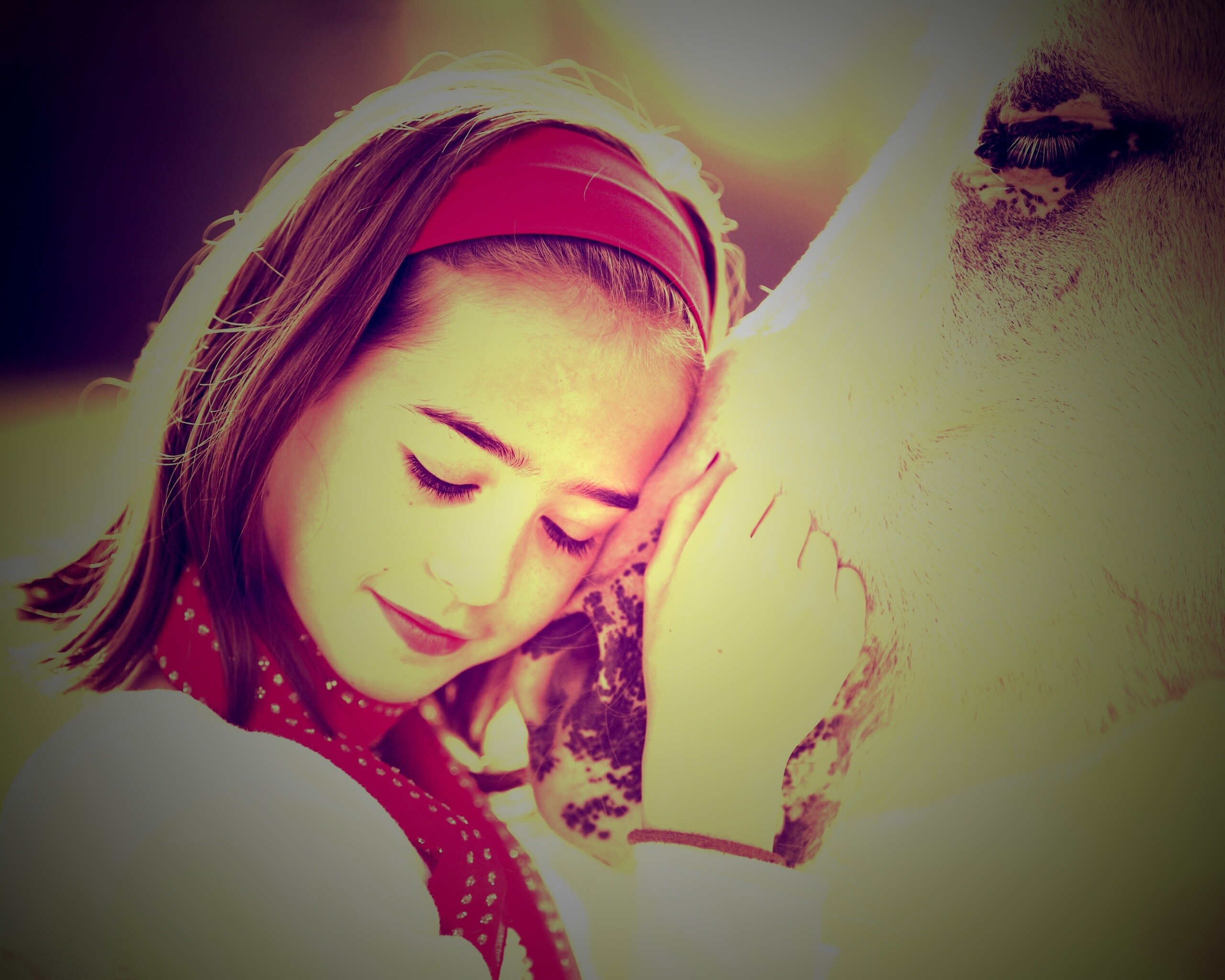 Девочка и лошадь обои