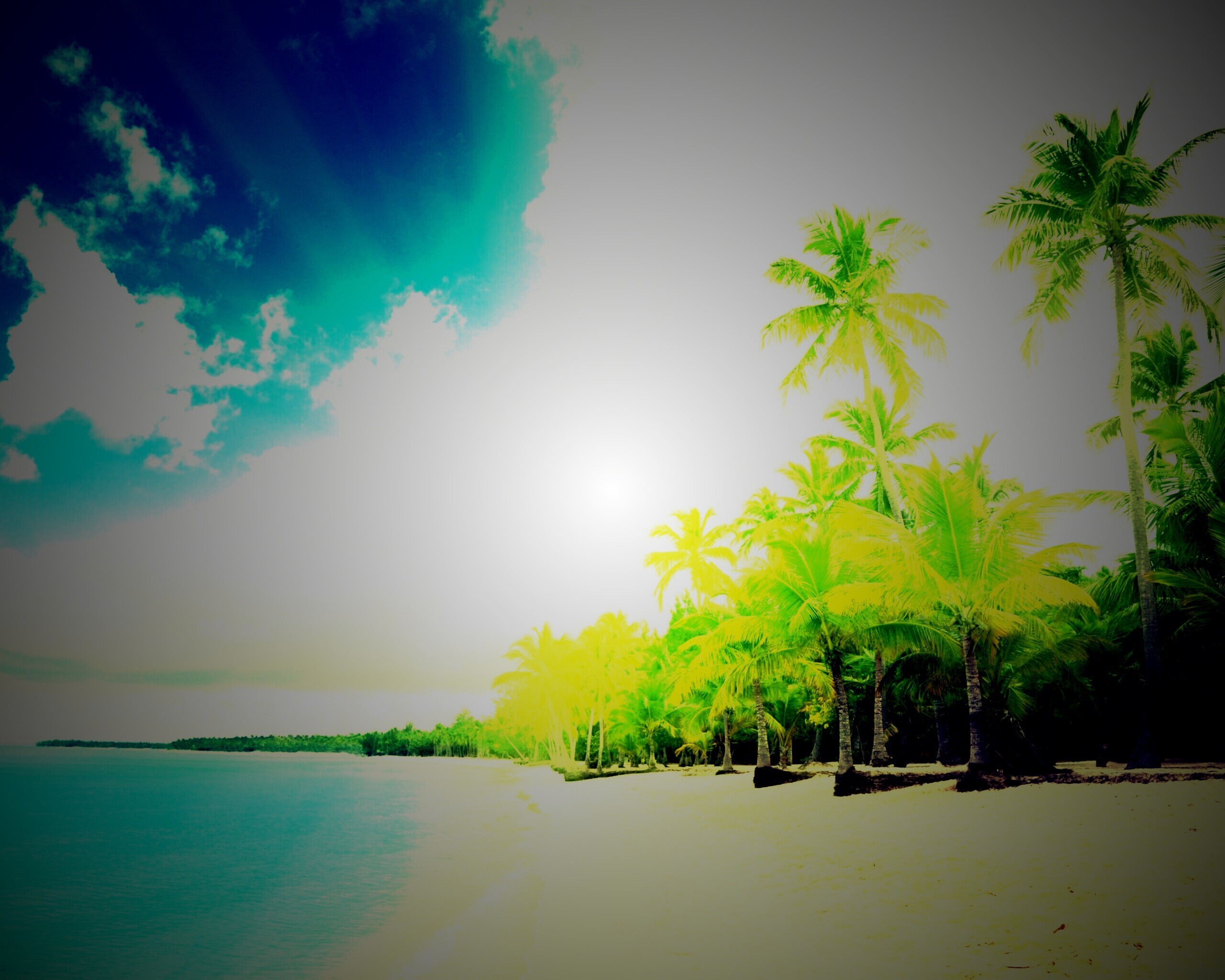 Тропическое побережье обои