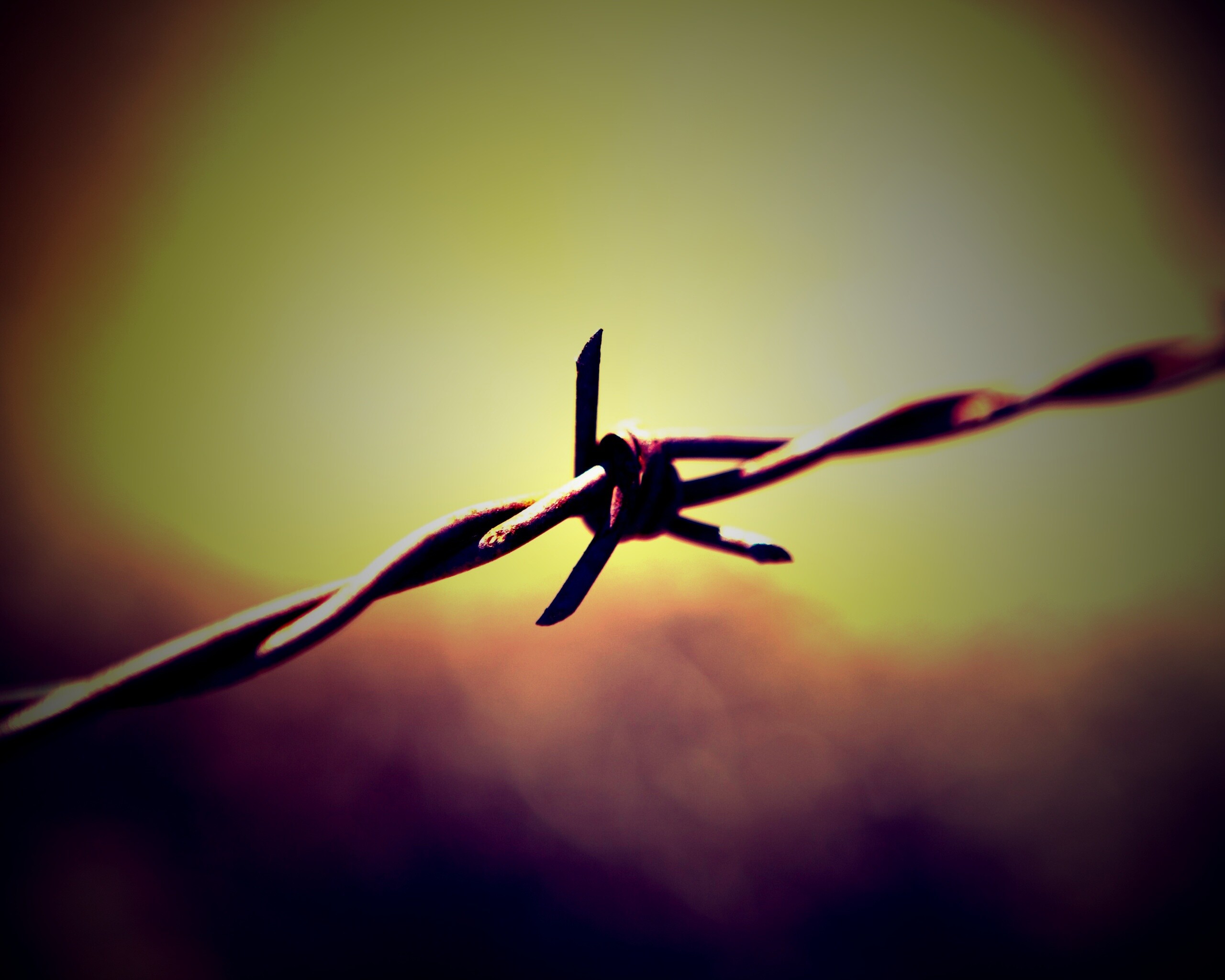 Фото колючей проволоки обои