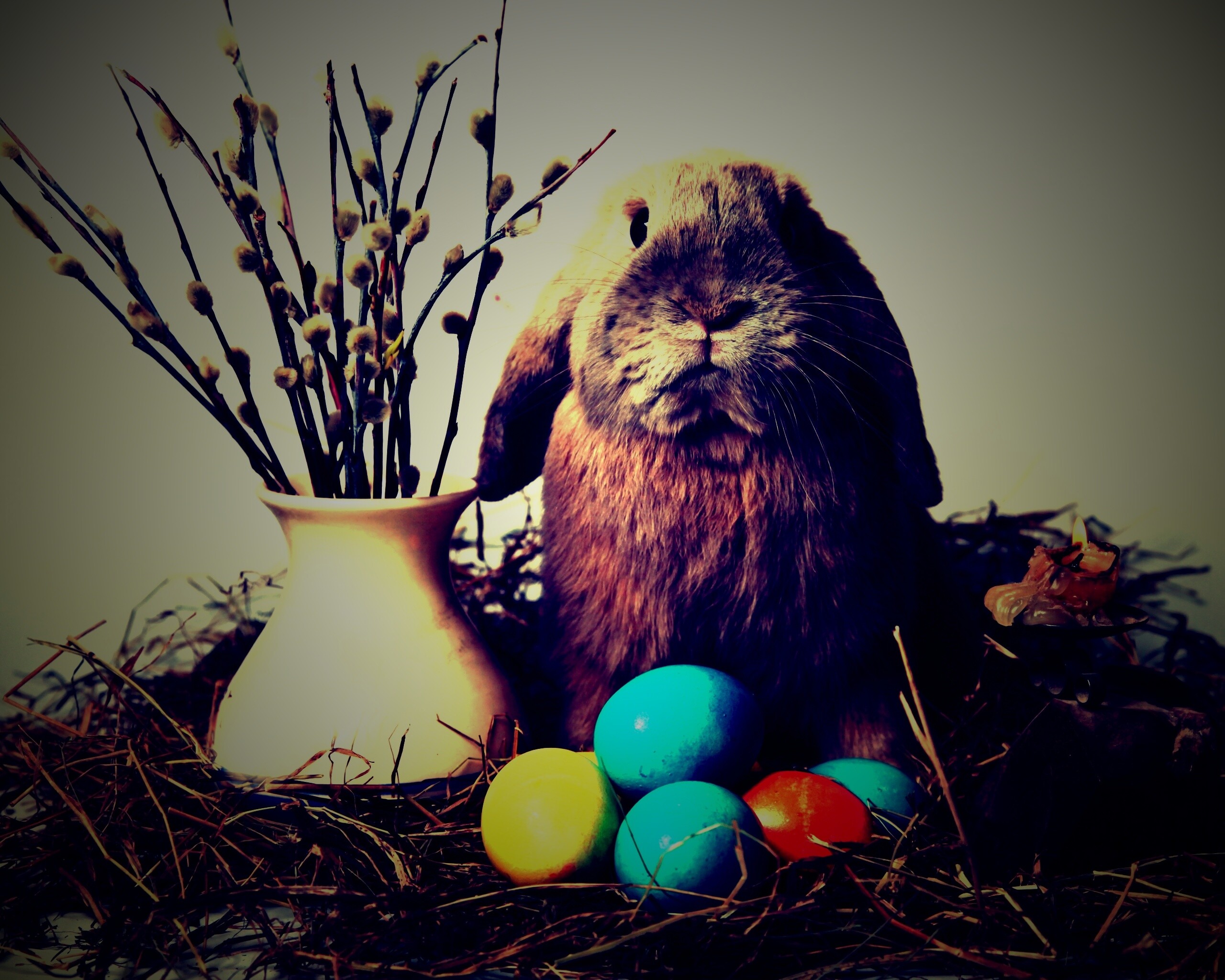 Пасхальный кролик обои