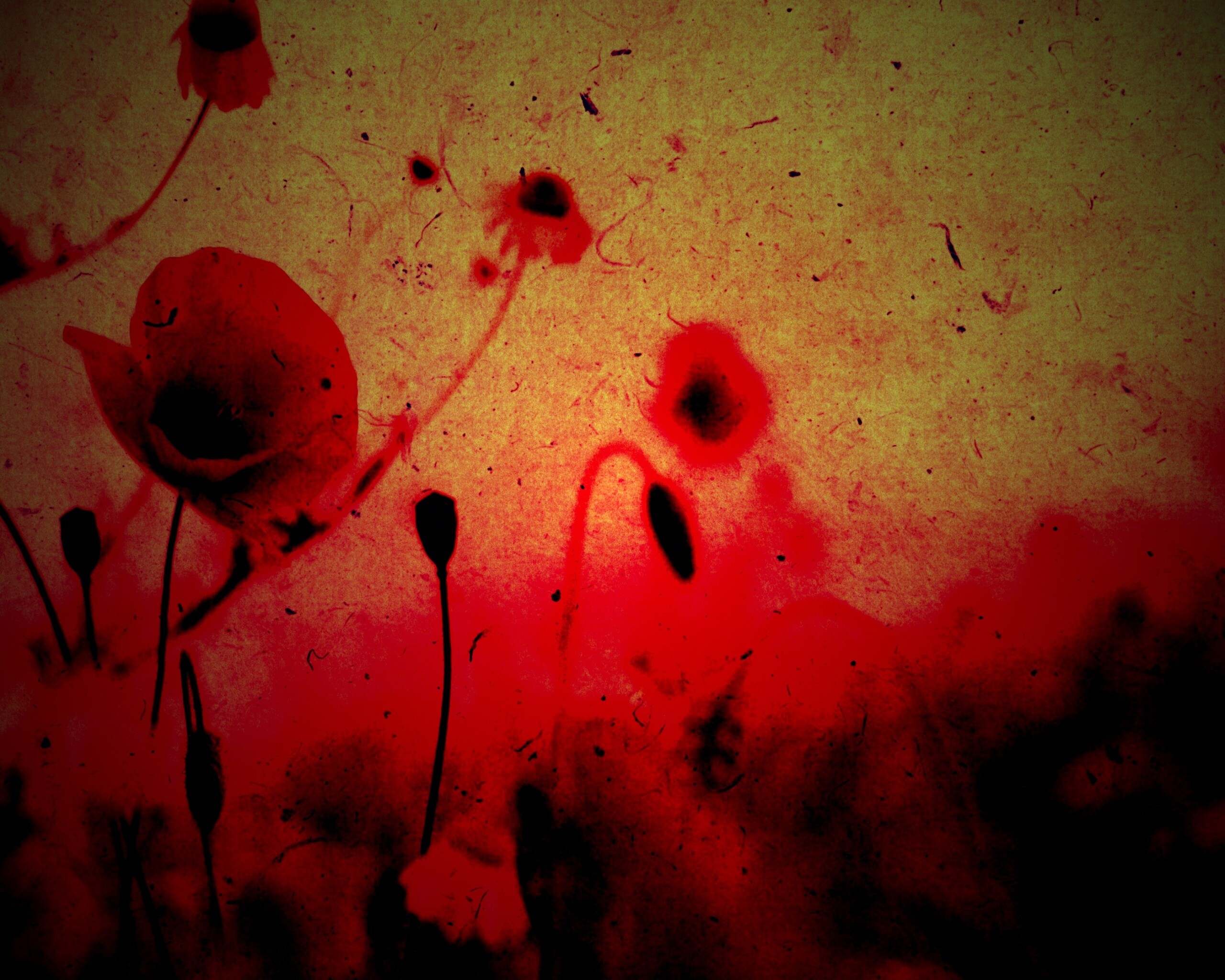 Кровавые цветы в стиле ретро обои