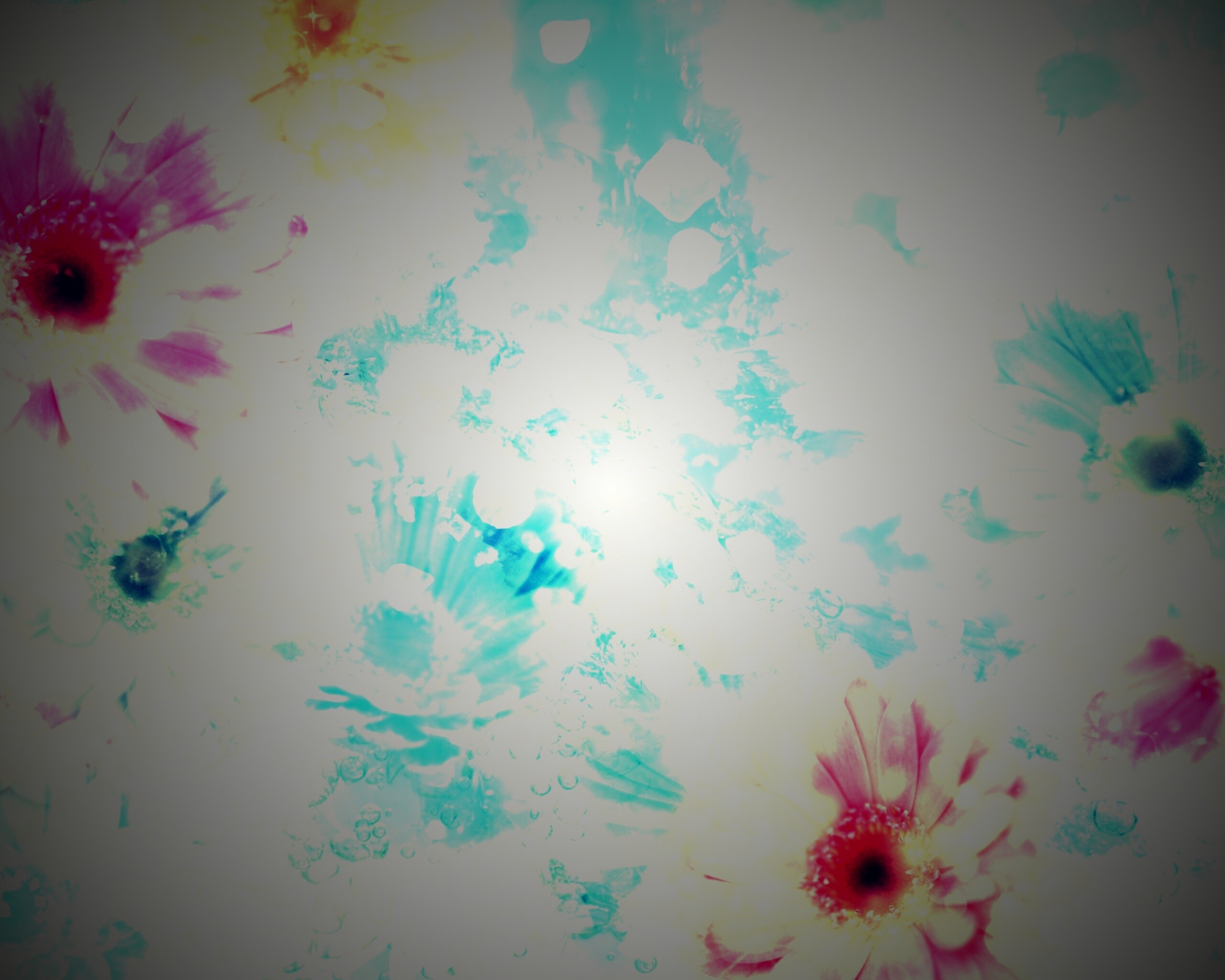 Цветочная эйфория обои