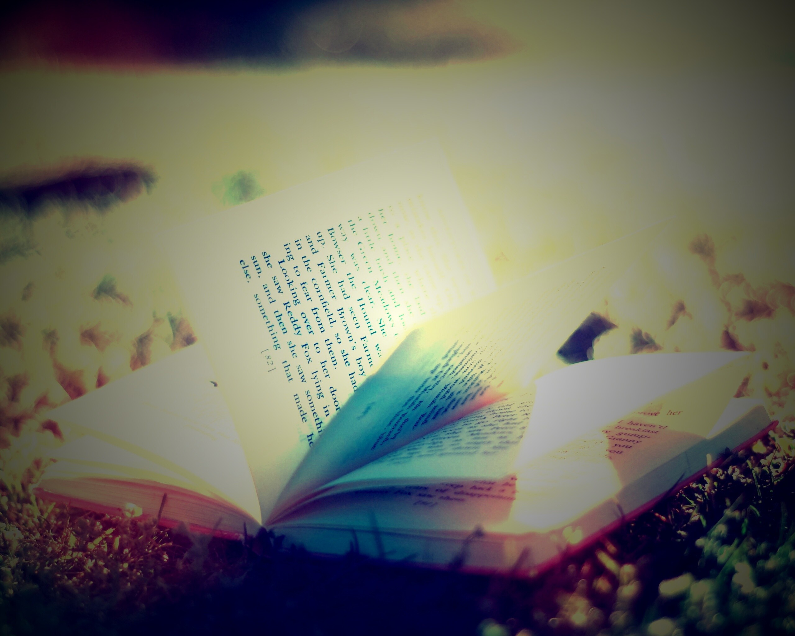 Книга в нежном свете обои